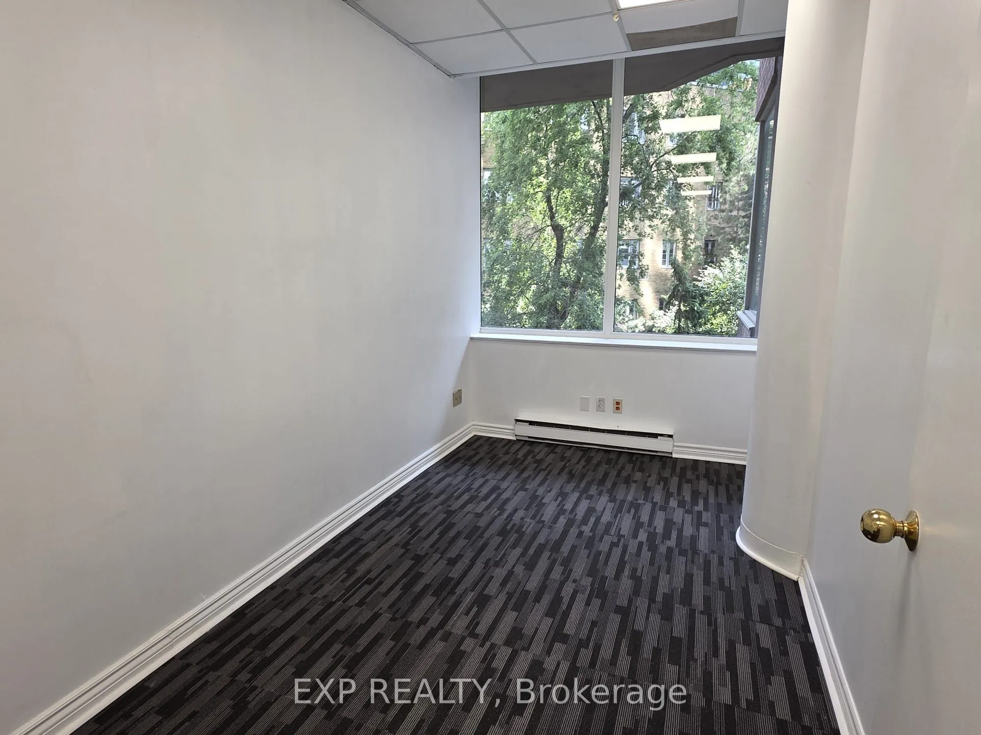 1033 Bay Street, #320