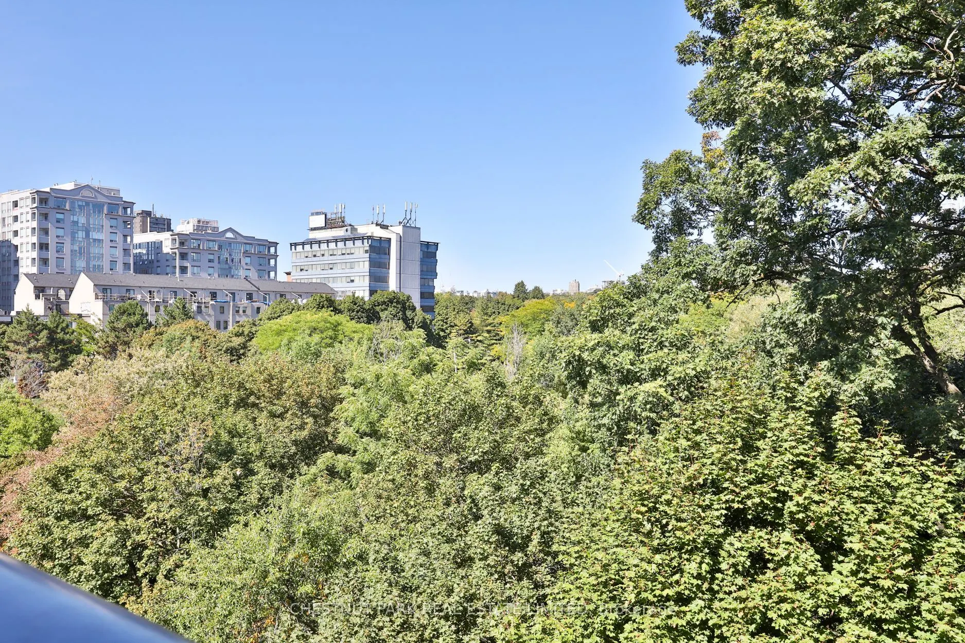 120 Rosedale Valley Road, #709