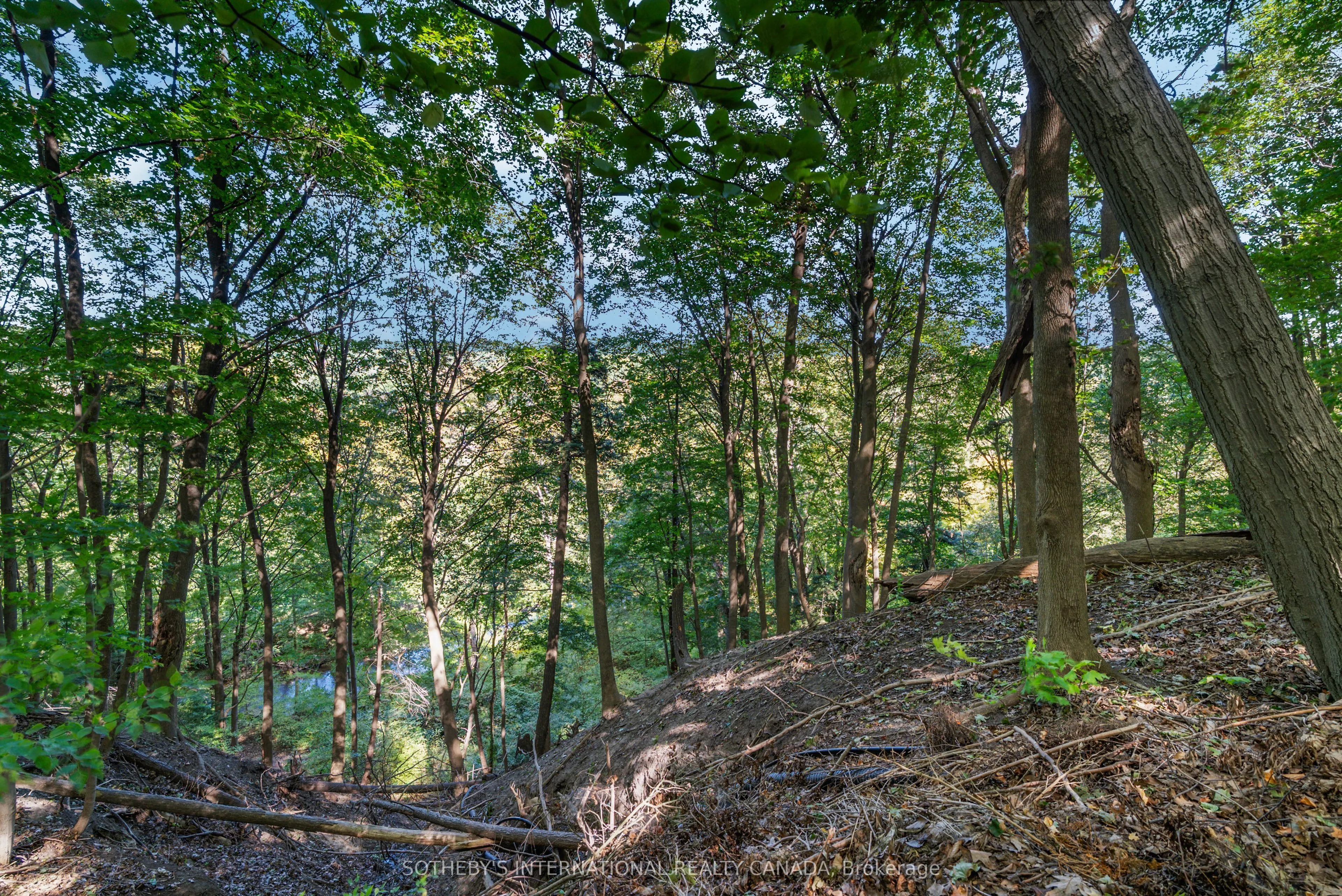 338 Riverview Drive