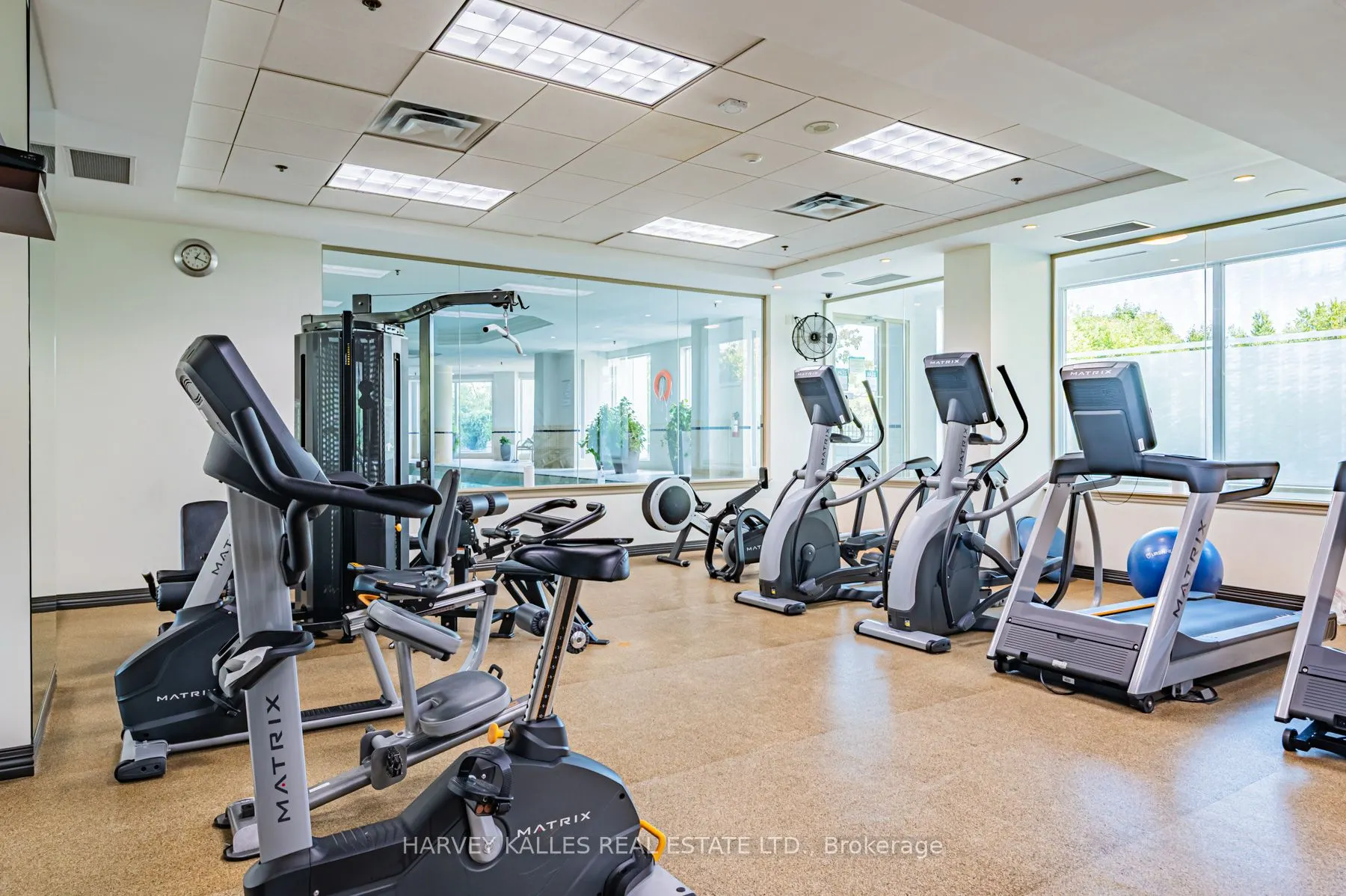 300 Bloor Street E, #1703