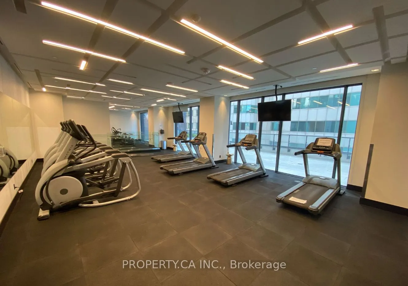 87 Peter Street, #3512