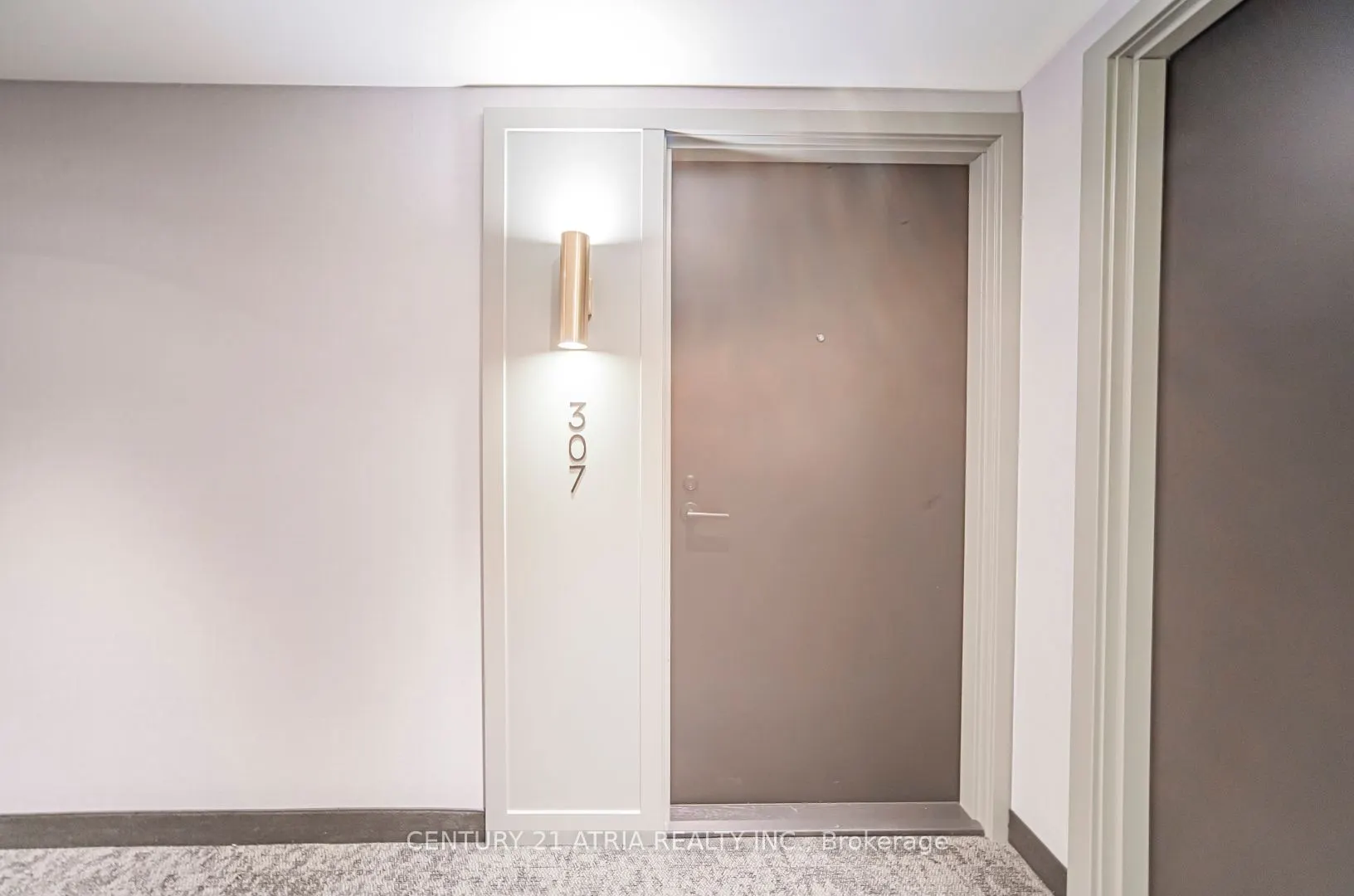 60 Shuter Street, #307