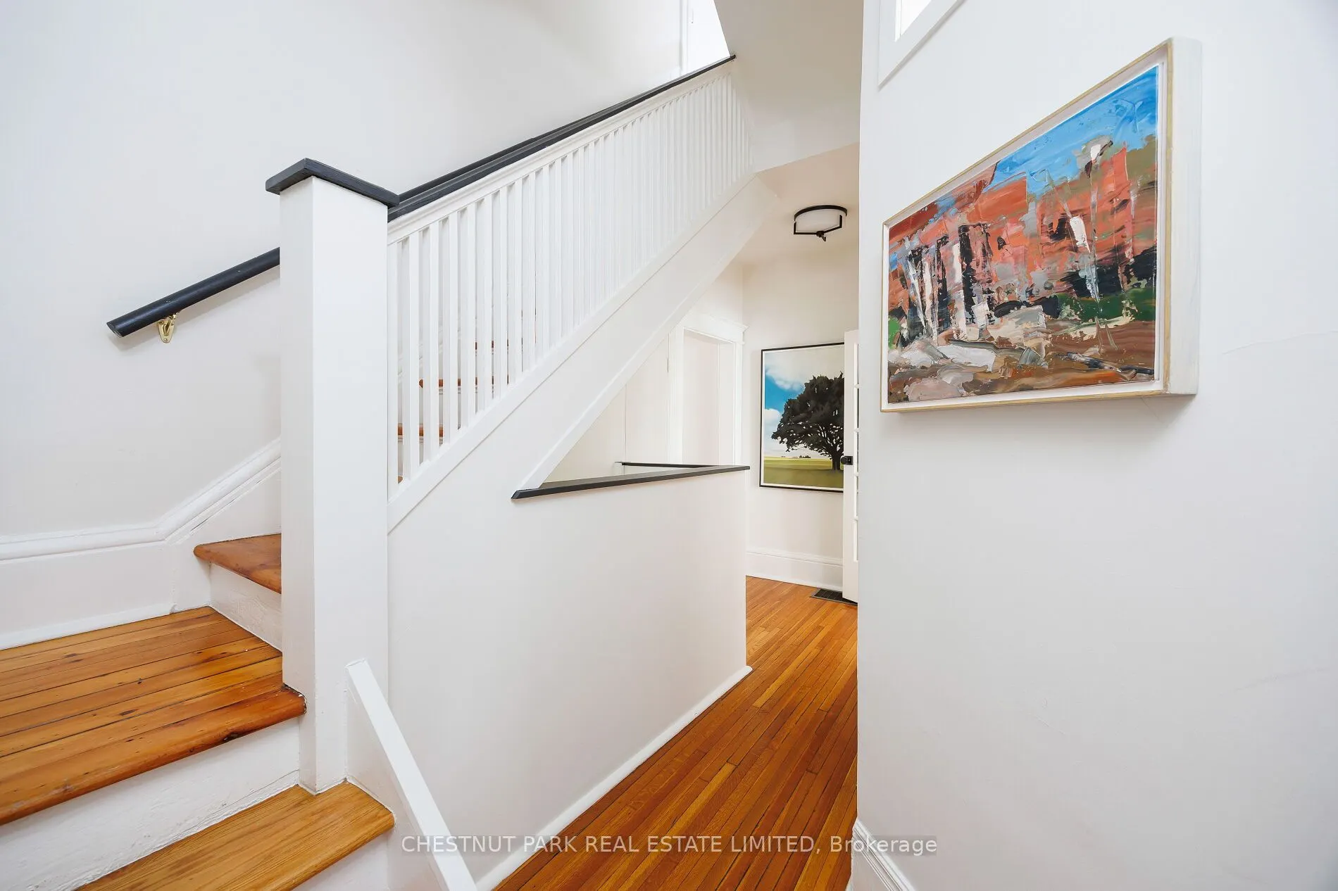 272 Robert Street