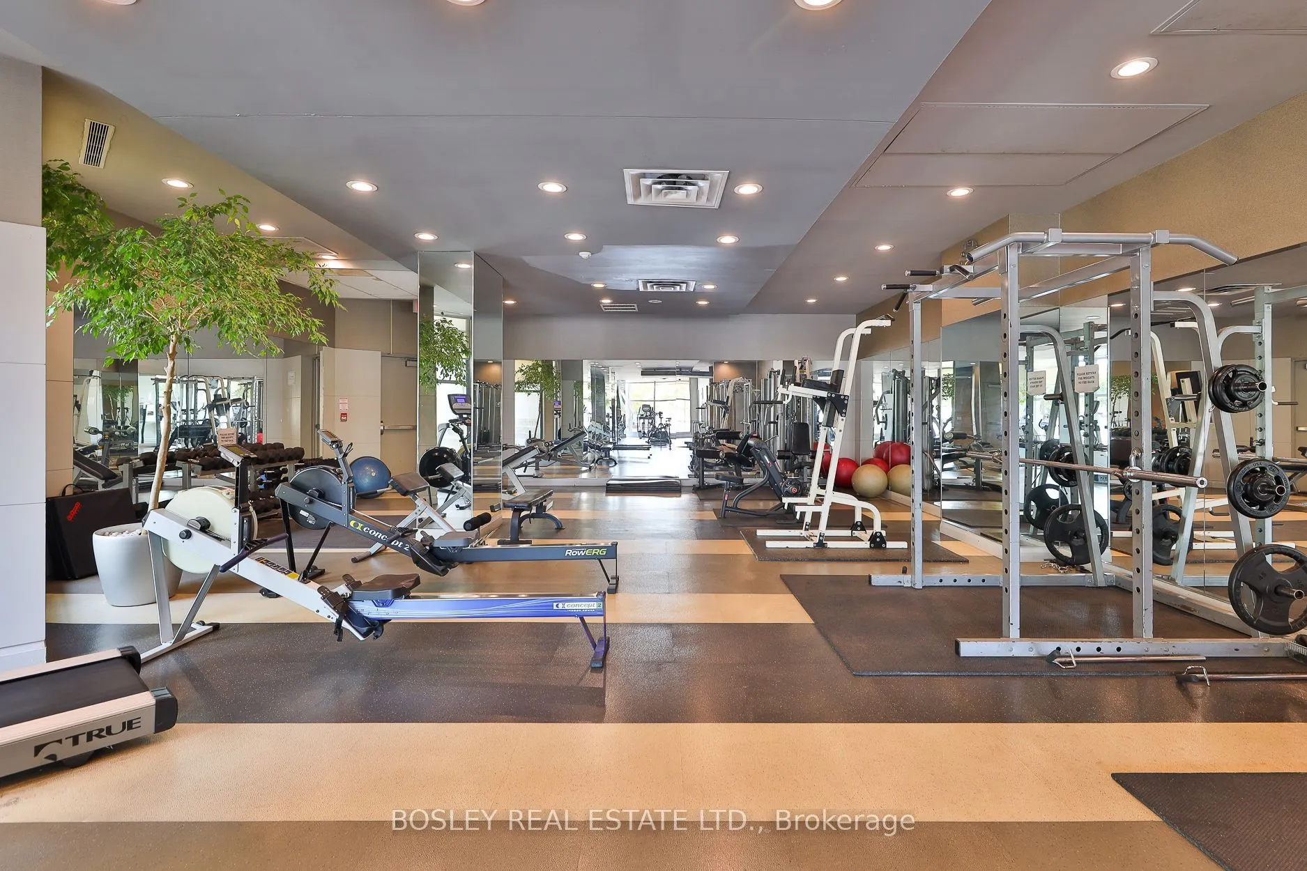 228 Queens Quay W, #2508