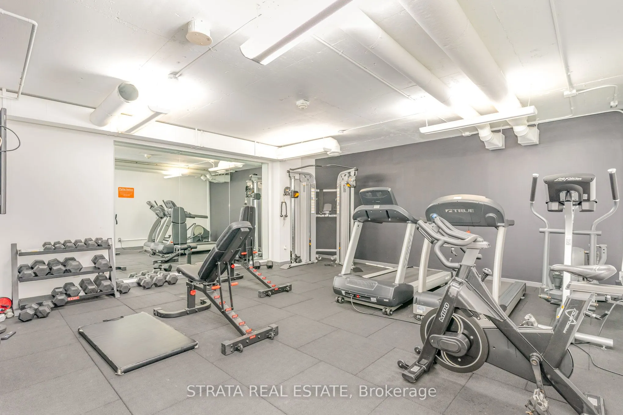 95 Bathurst Street, #615