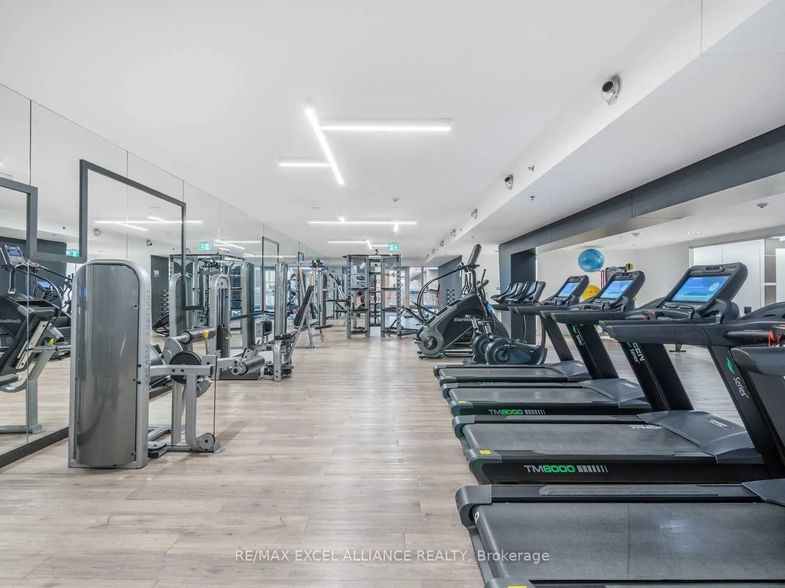181 Dundas Street E, #3108