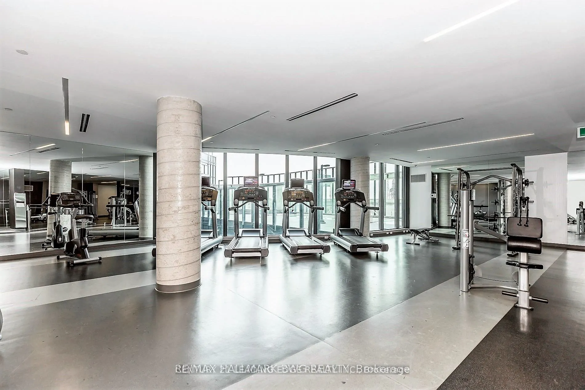 51 East Liberty Street, #1113