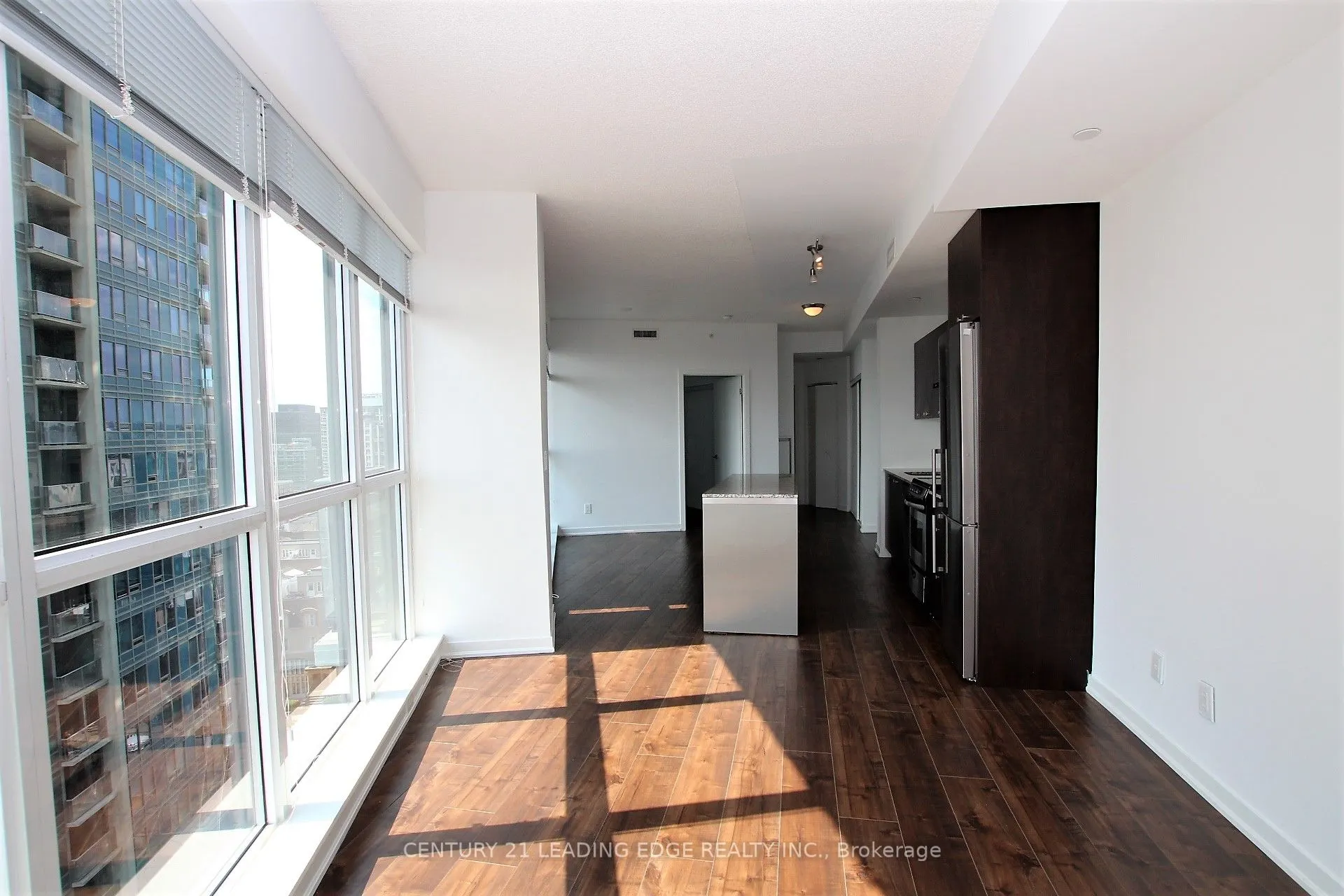 51 East Liberty Street, #1113