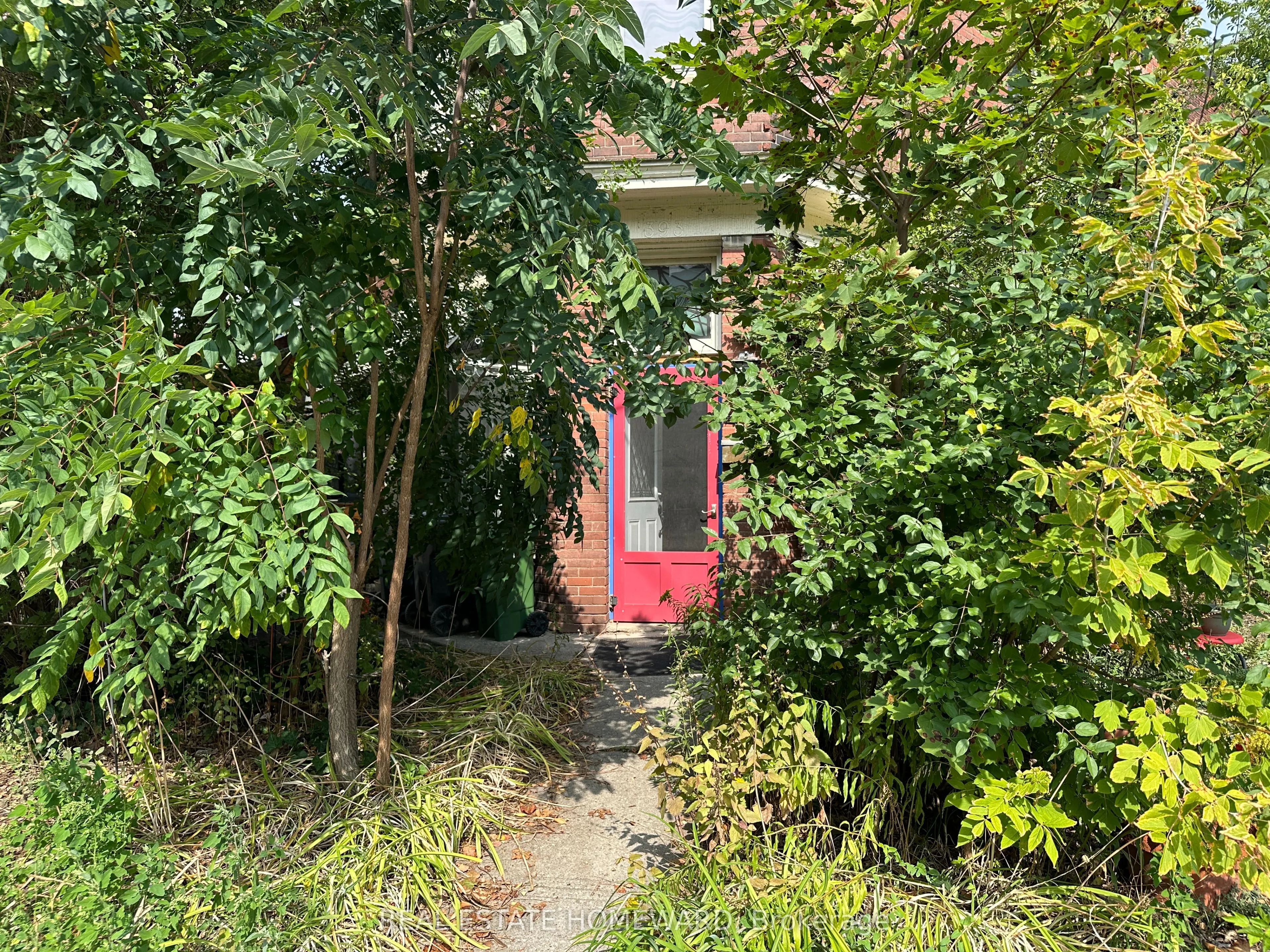 393 Christie Street, #2