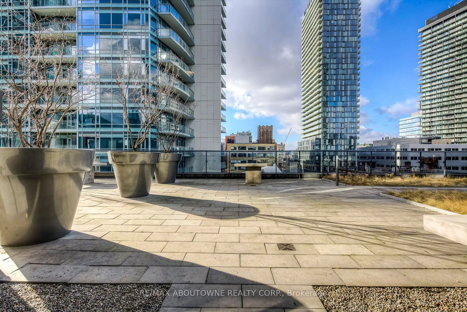295 Adelaide Street W, #3003