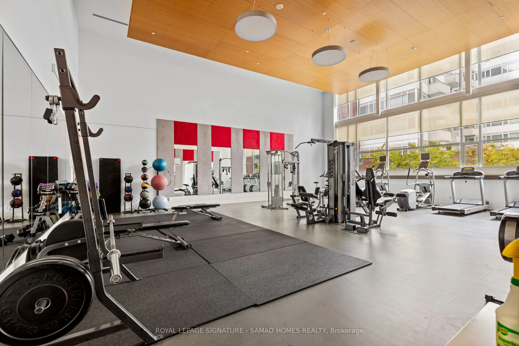 225 Sackville Street, #2401