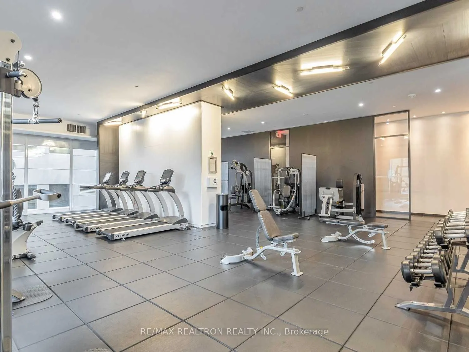 125 Peter Street, #8