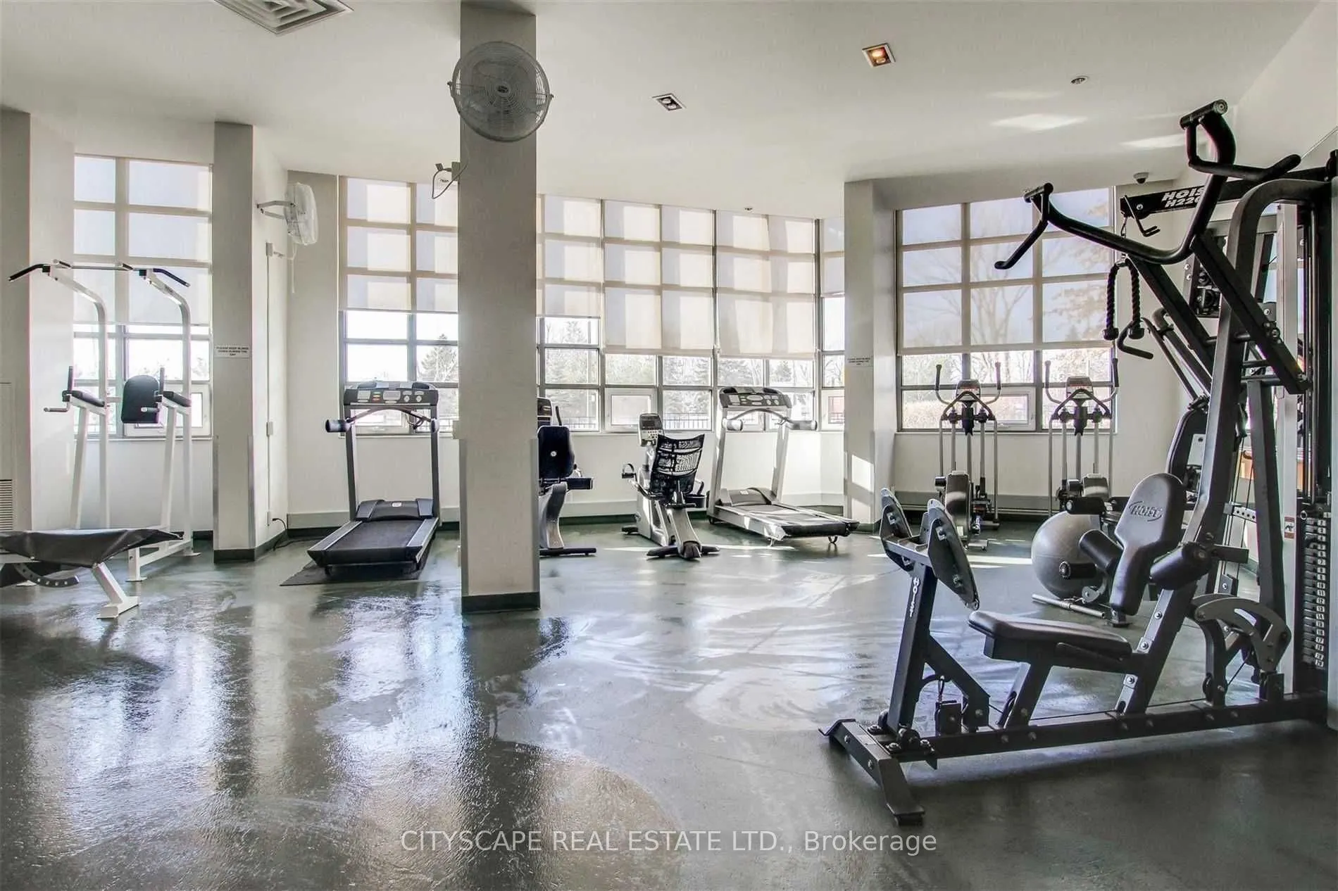 503 Beecroft Road, #309