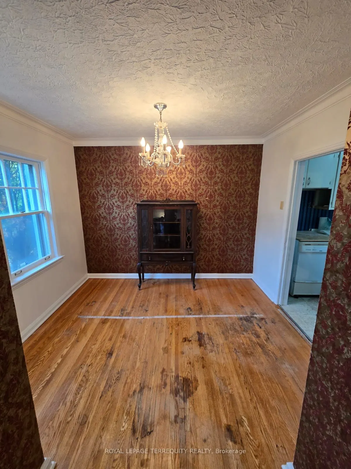 7 Devondale Avenue