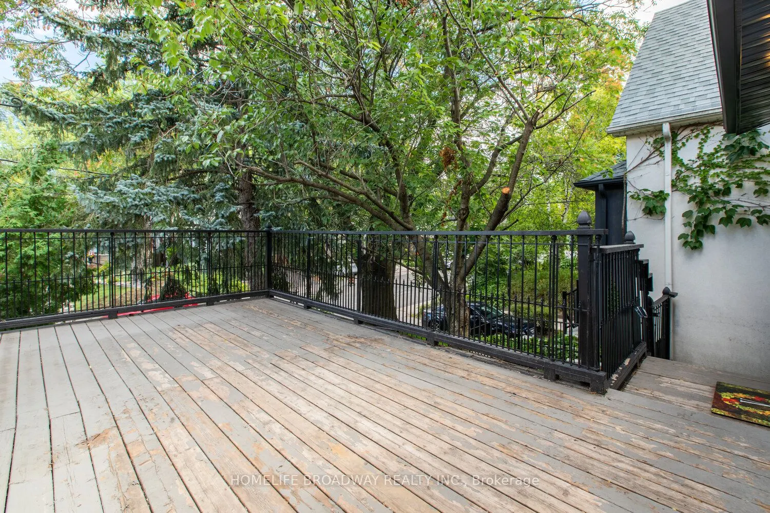 8 Walder Avenue