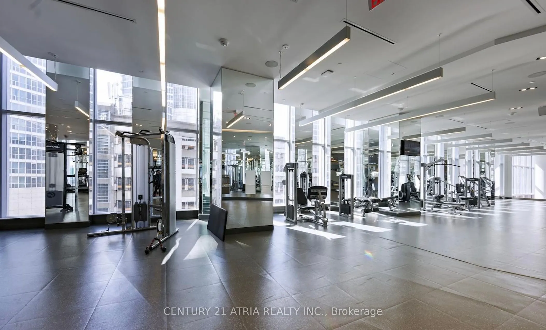 10 York Street, #802