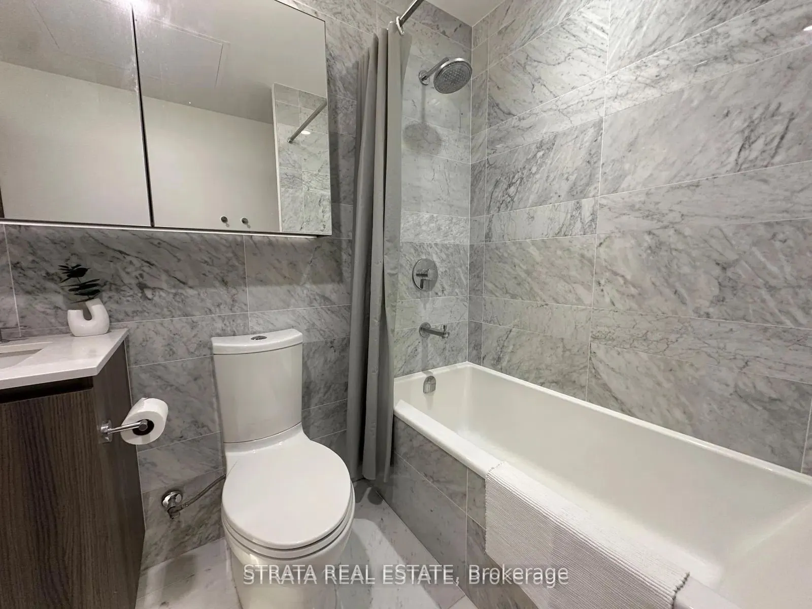 19 Bathurst Street, #3915