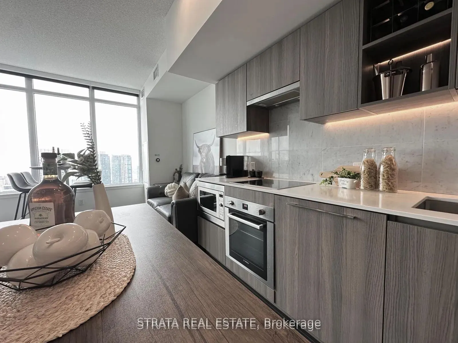 19 Bathurst Street, #3915