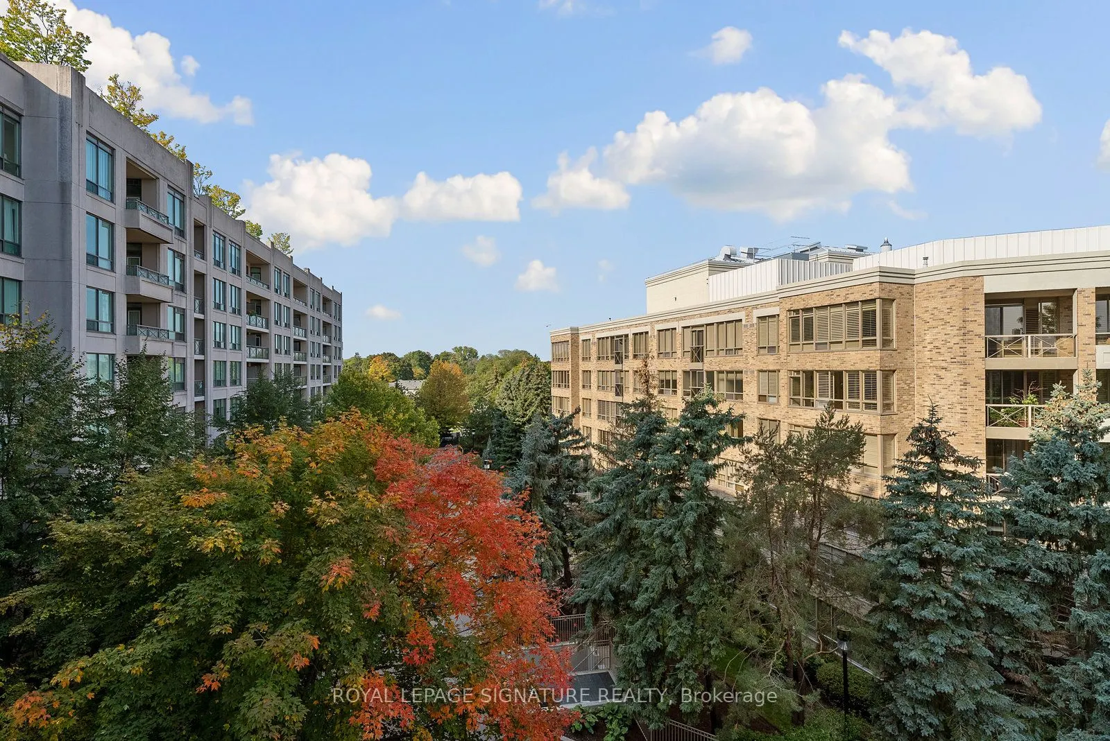 205 The Donway W, #521