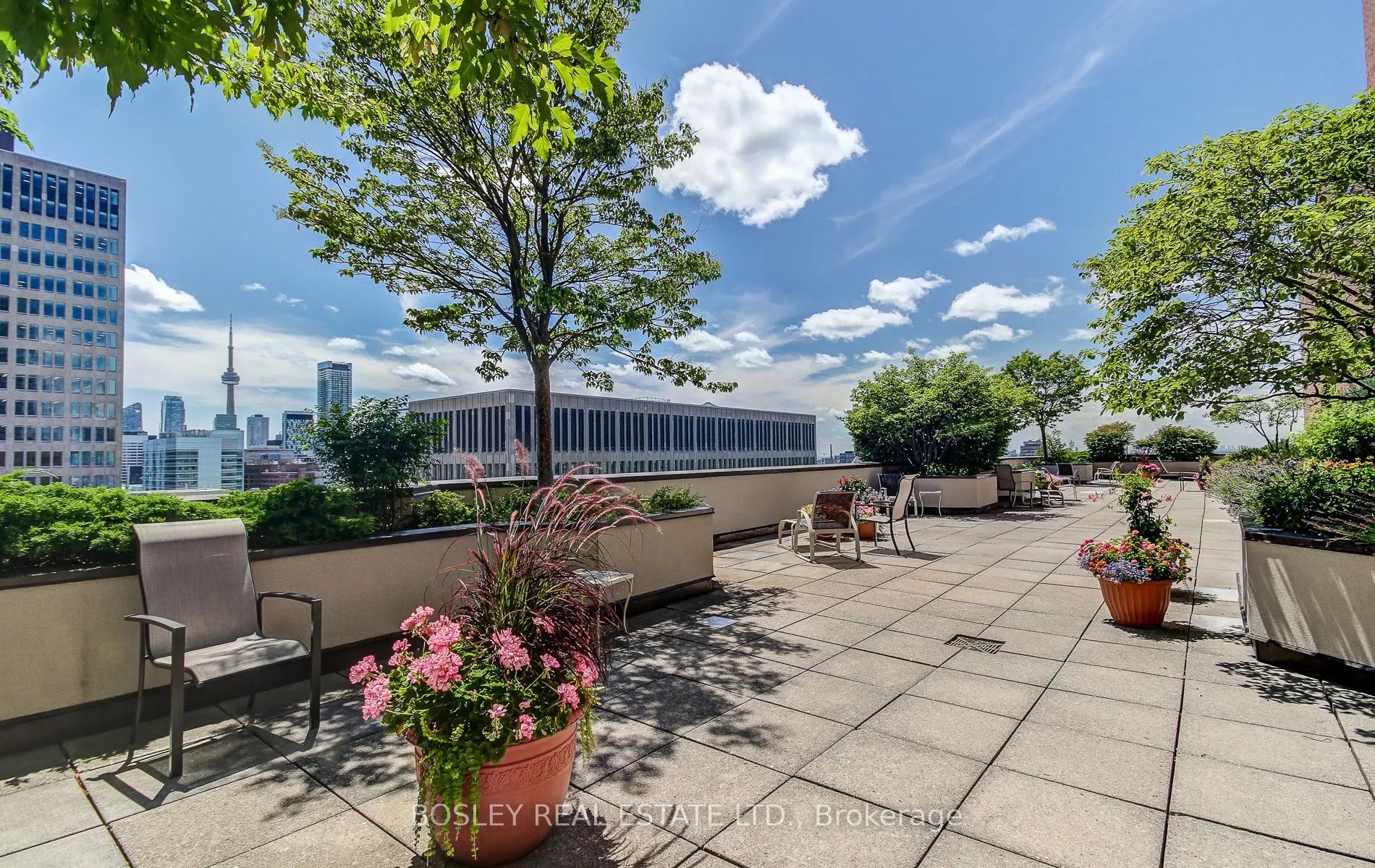 62 Wellesley Street W, #702