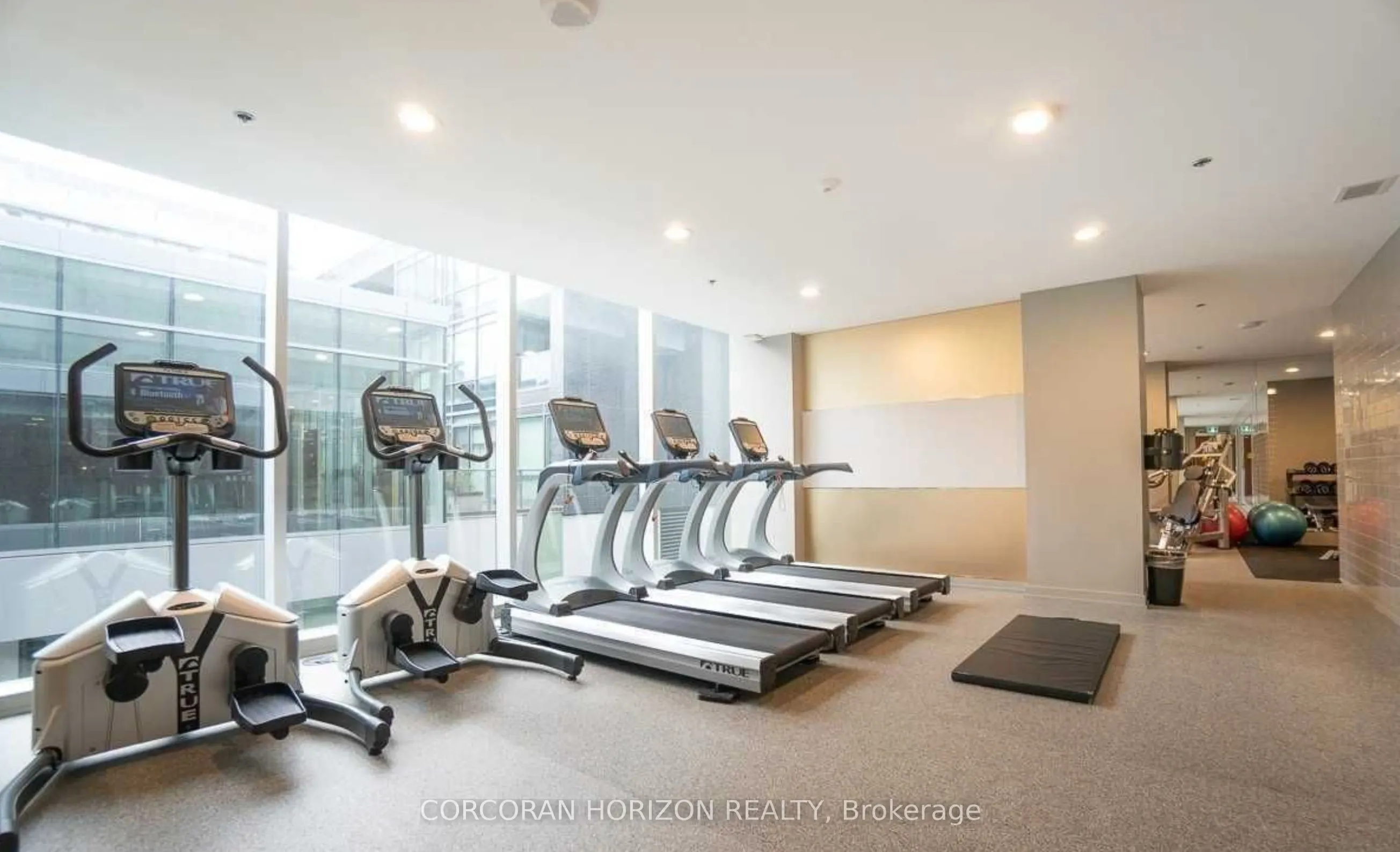 455 Front Street E, #S225