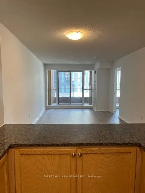 925 Bay Street, #807