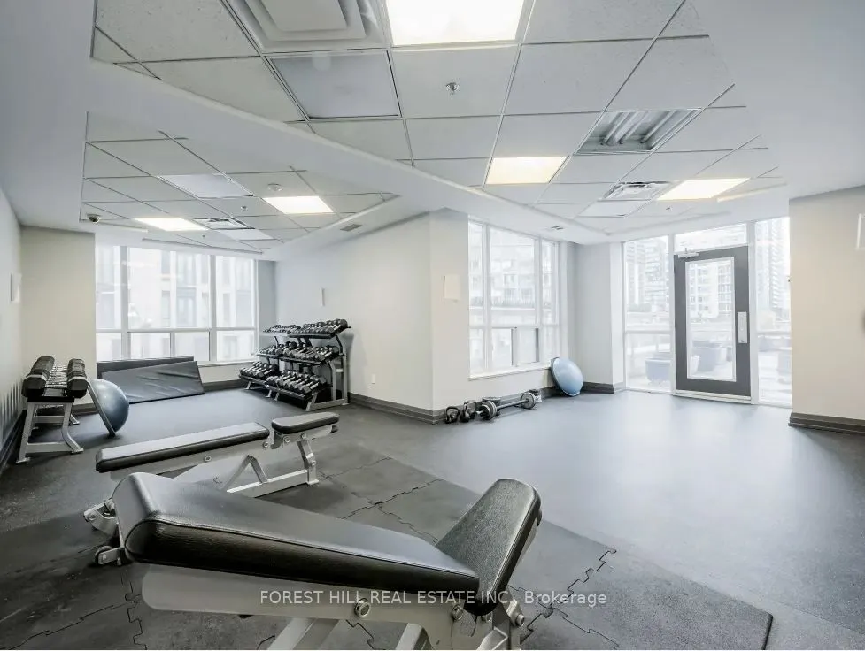 925 Bay Street, #807