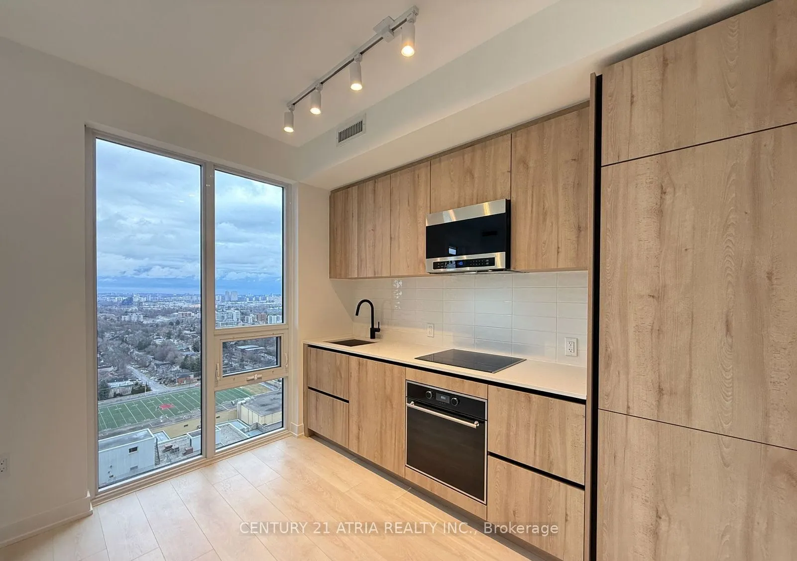 117 Broadway Avenue, #3010