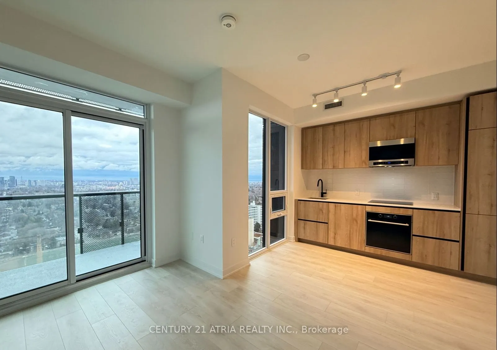 117 Broadway Avenue, #3010