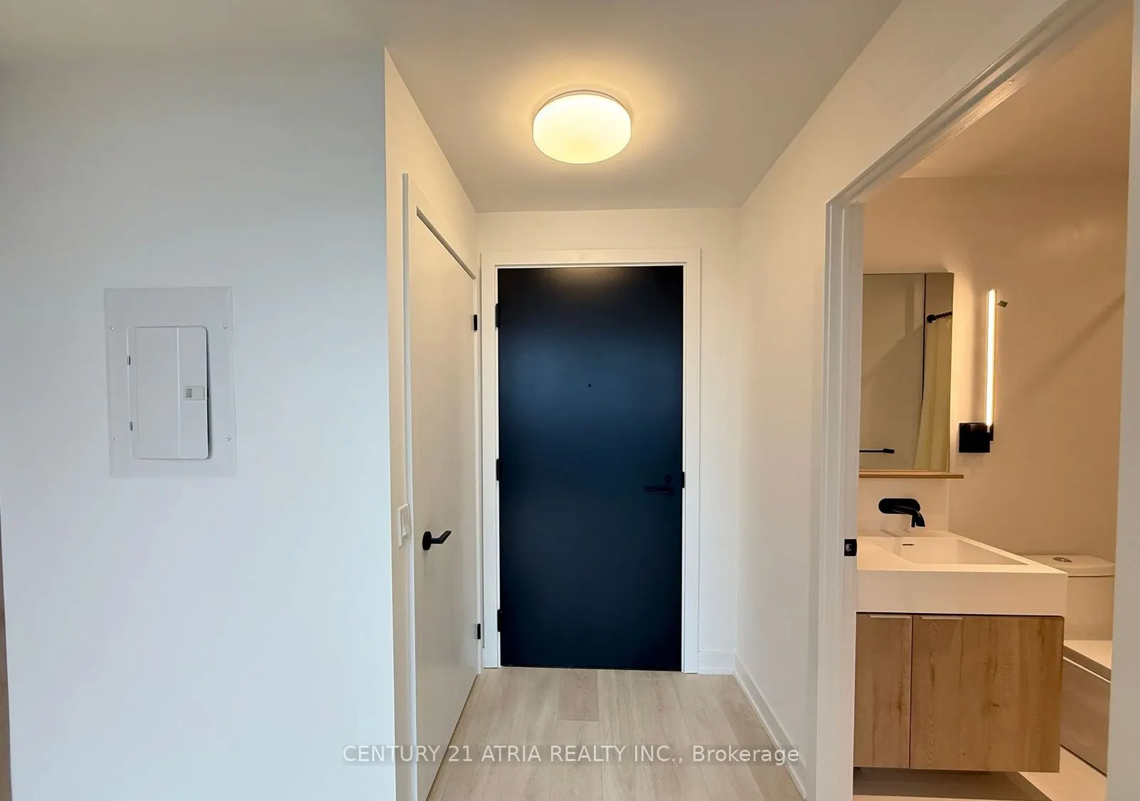 117 Broadway Avenue, #3010