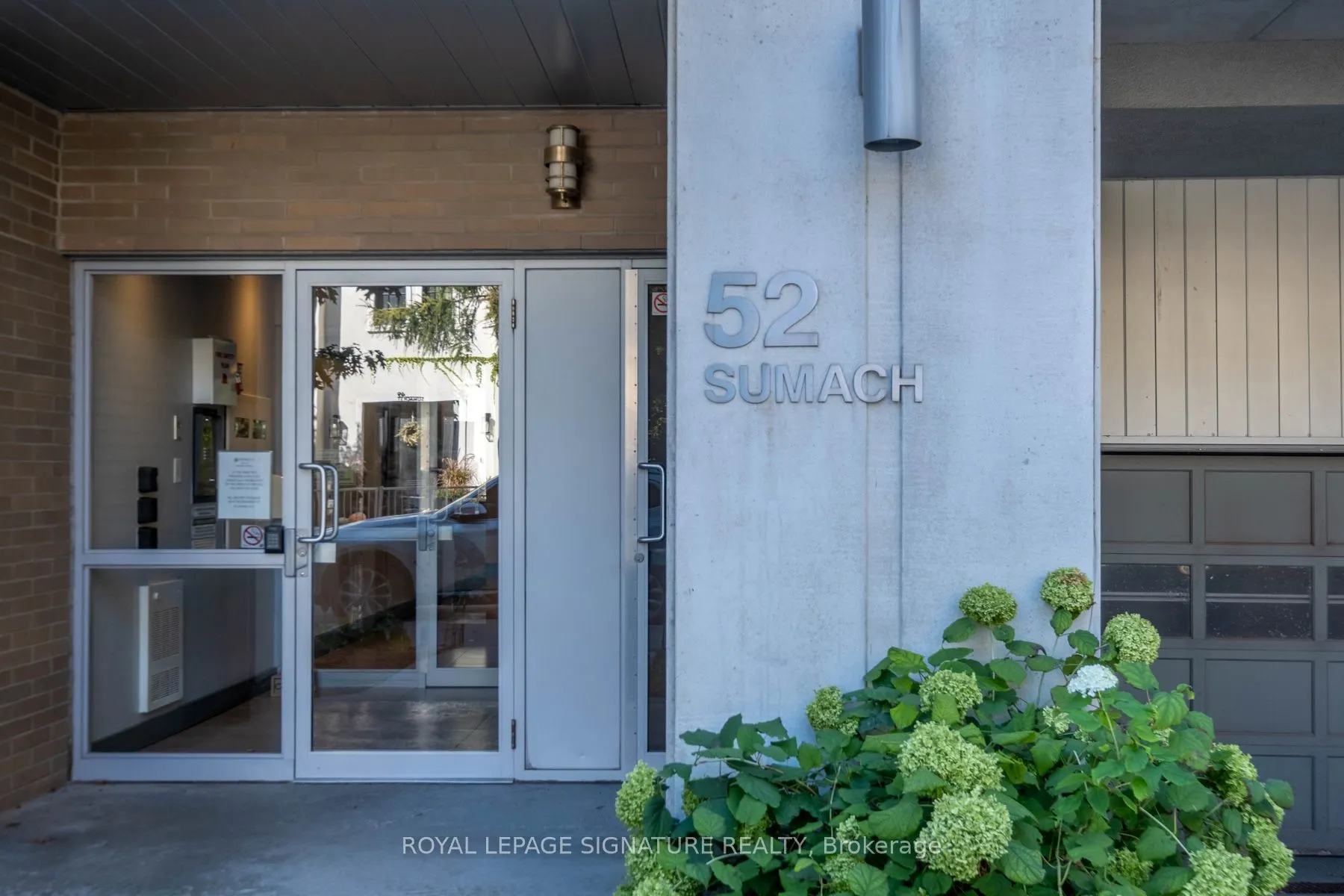 52 Sumach Street, #208