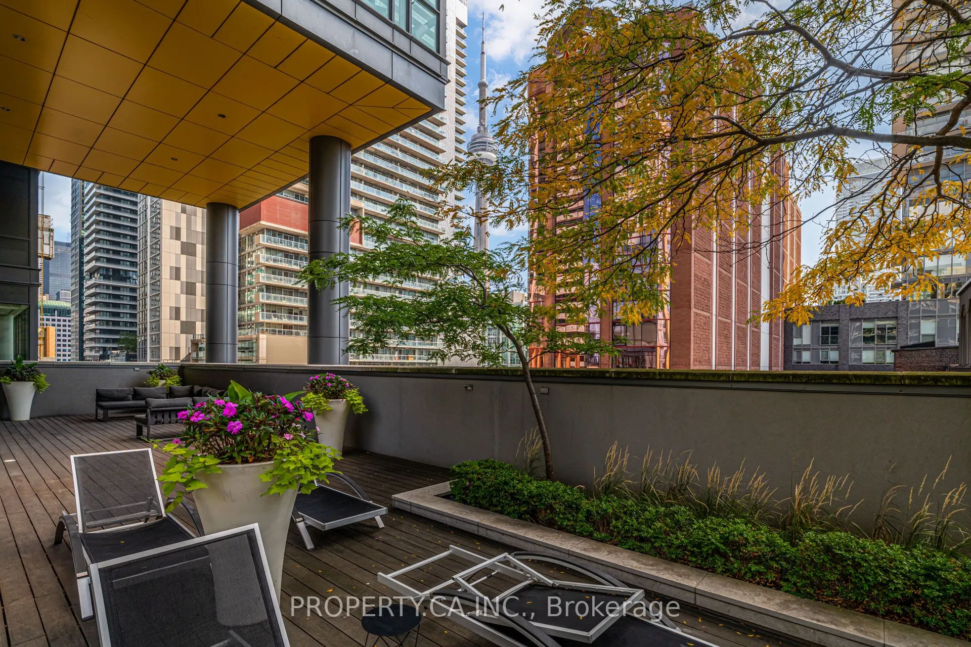 8 Charlotte Street, #3207
