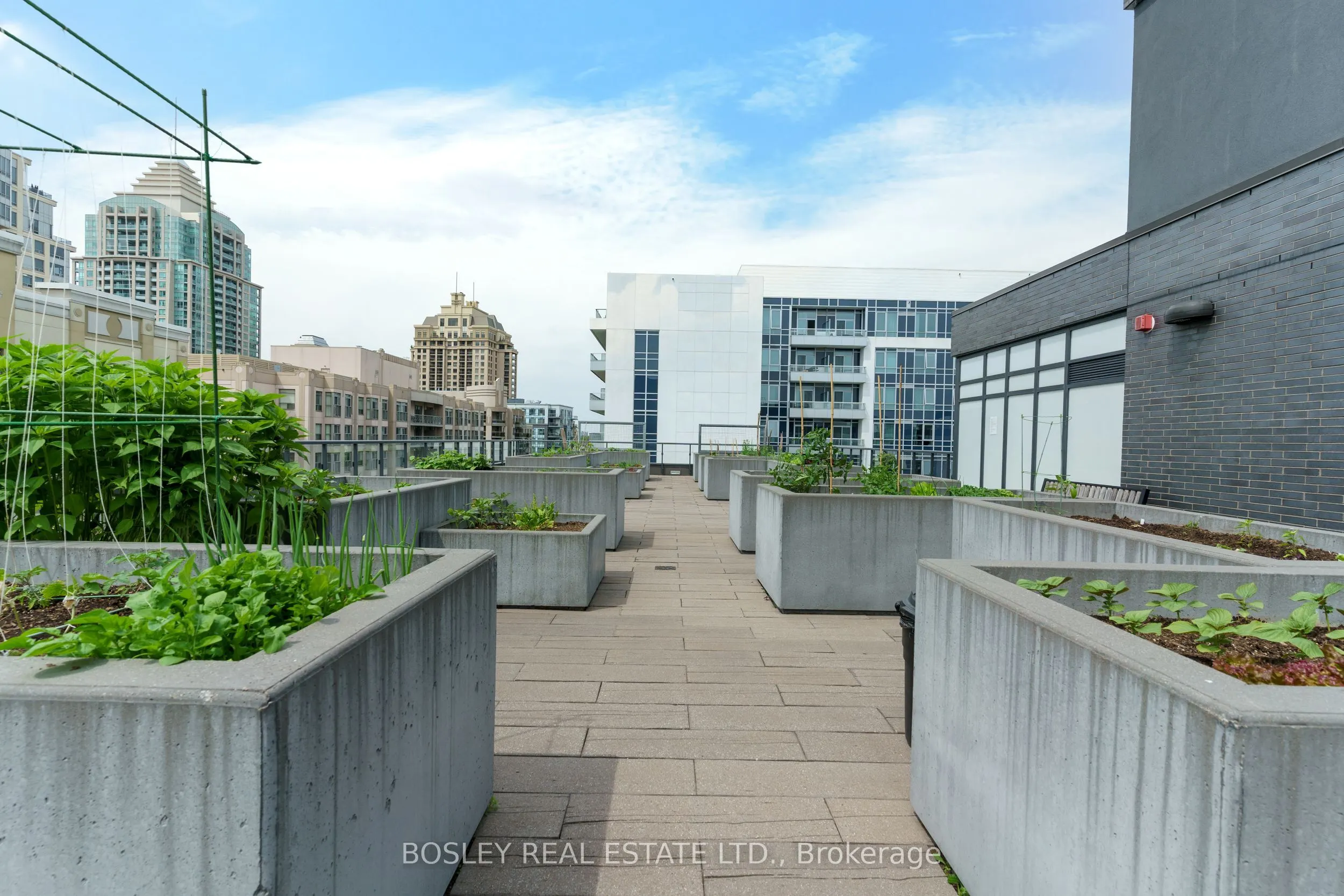 18 Rean Drive, #610