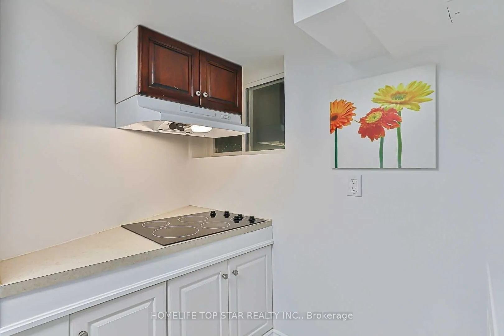 209 Connaught Avenue, #Basement