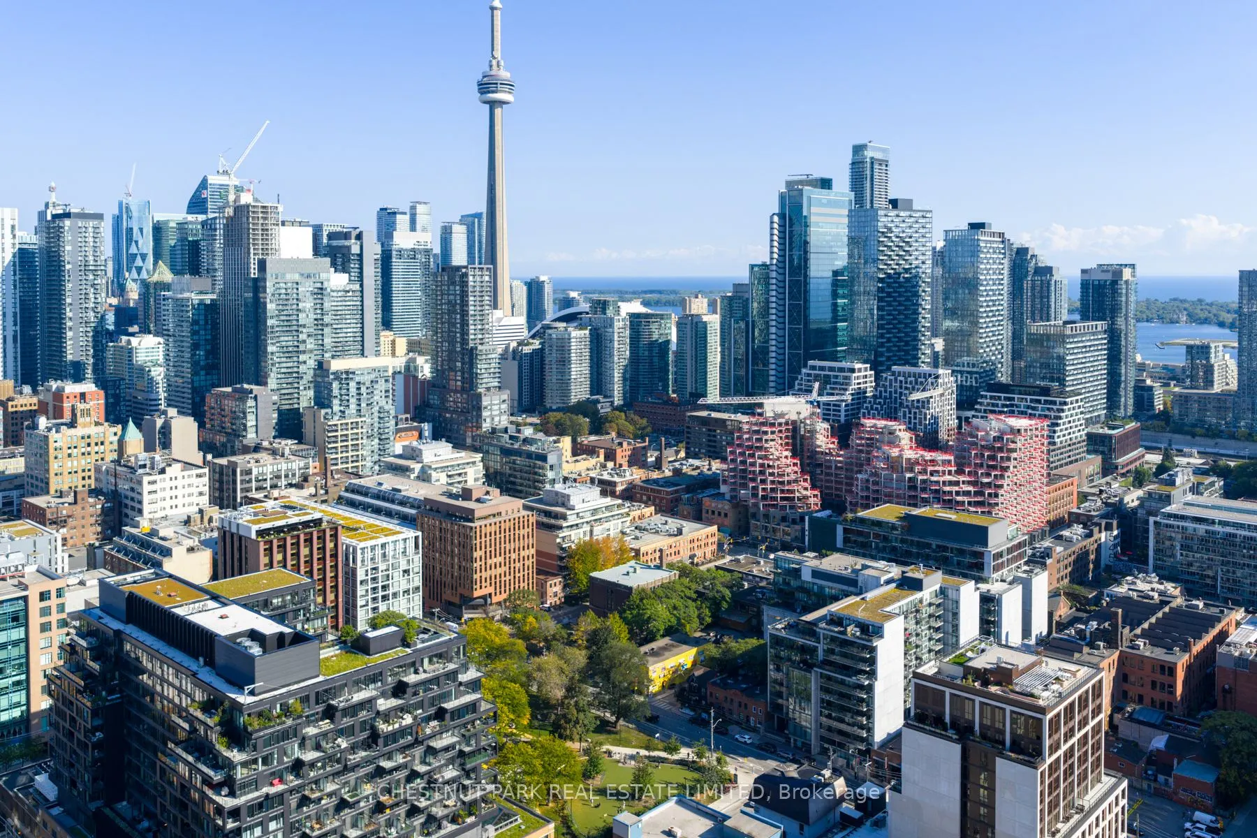 461 Adelaide Street, #230
