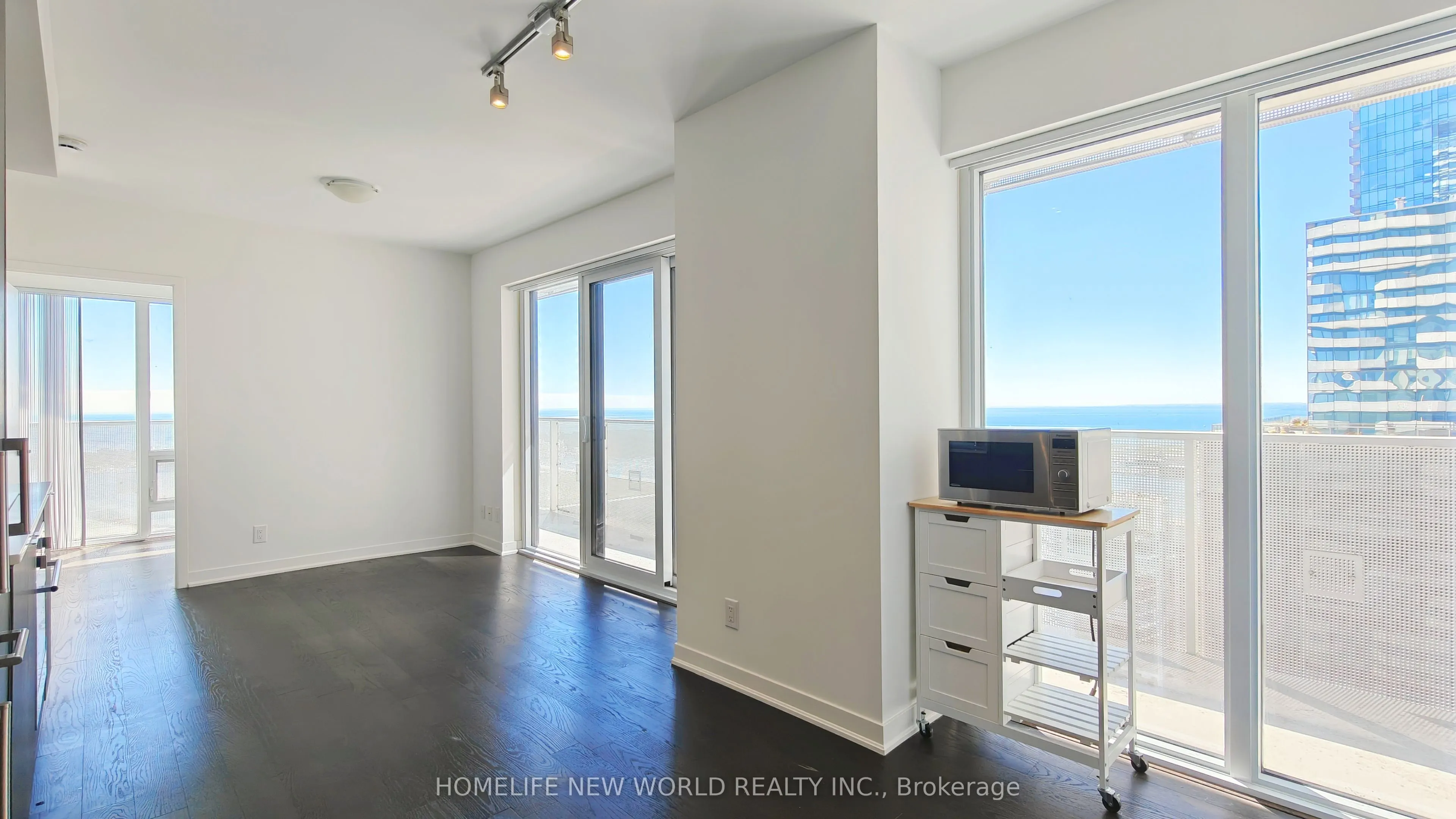 88 Harbour Street, #4810