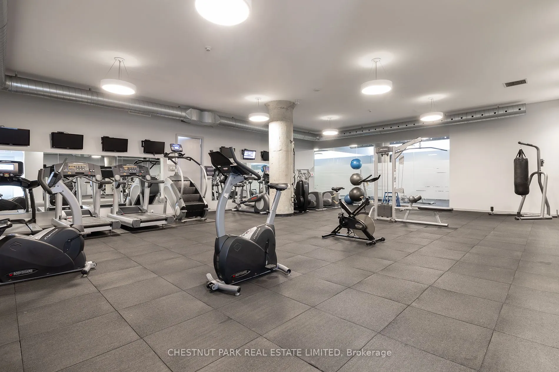 637 Lakeshore Boulevard W, #215