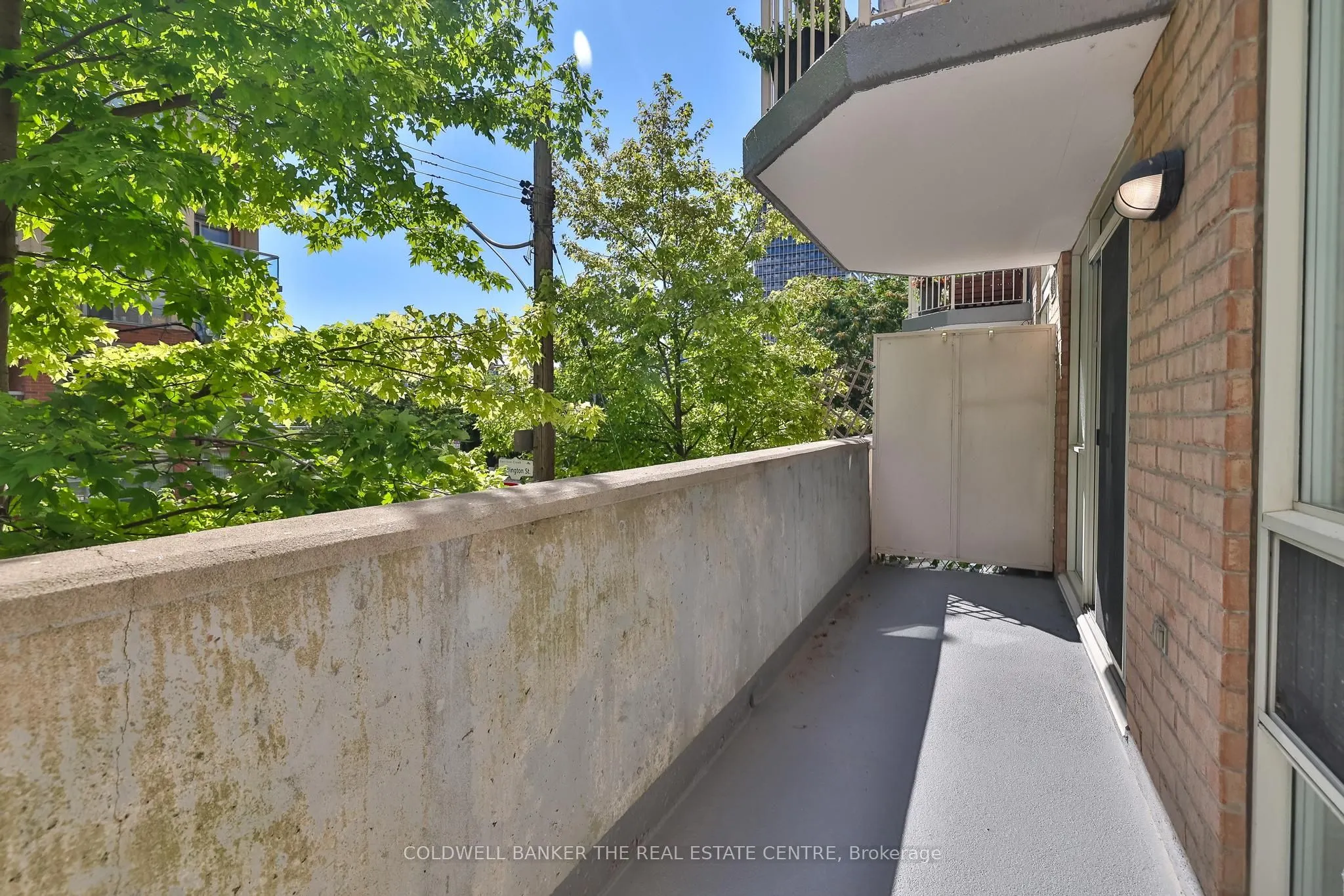 18 Stafford Street, #203
