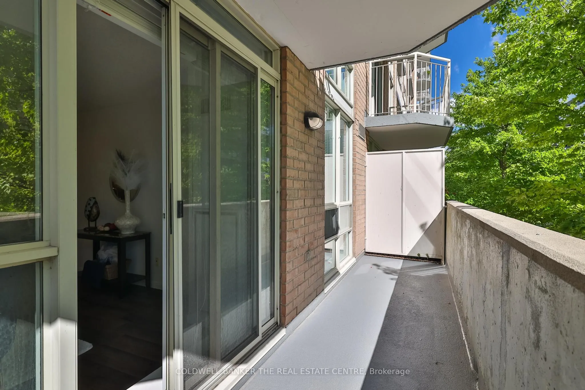 18 Stafford Street, #203