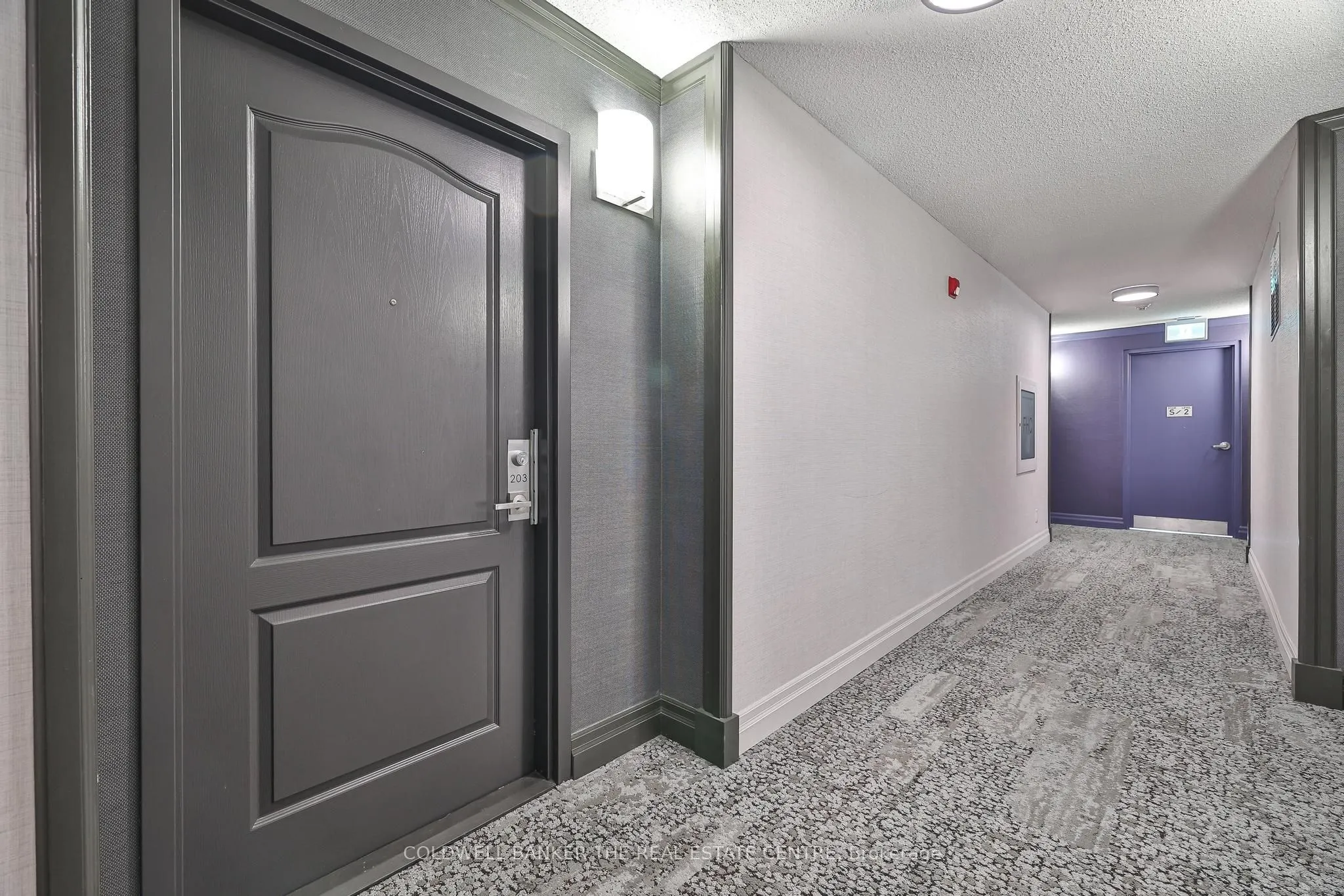18 Stafford Street, #203