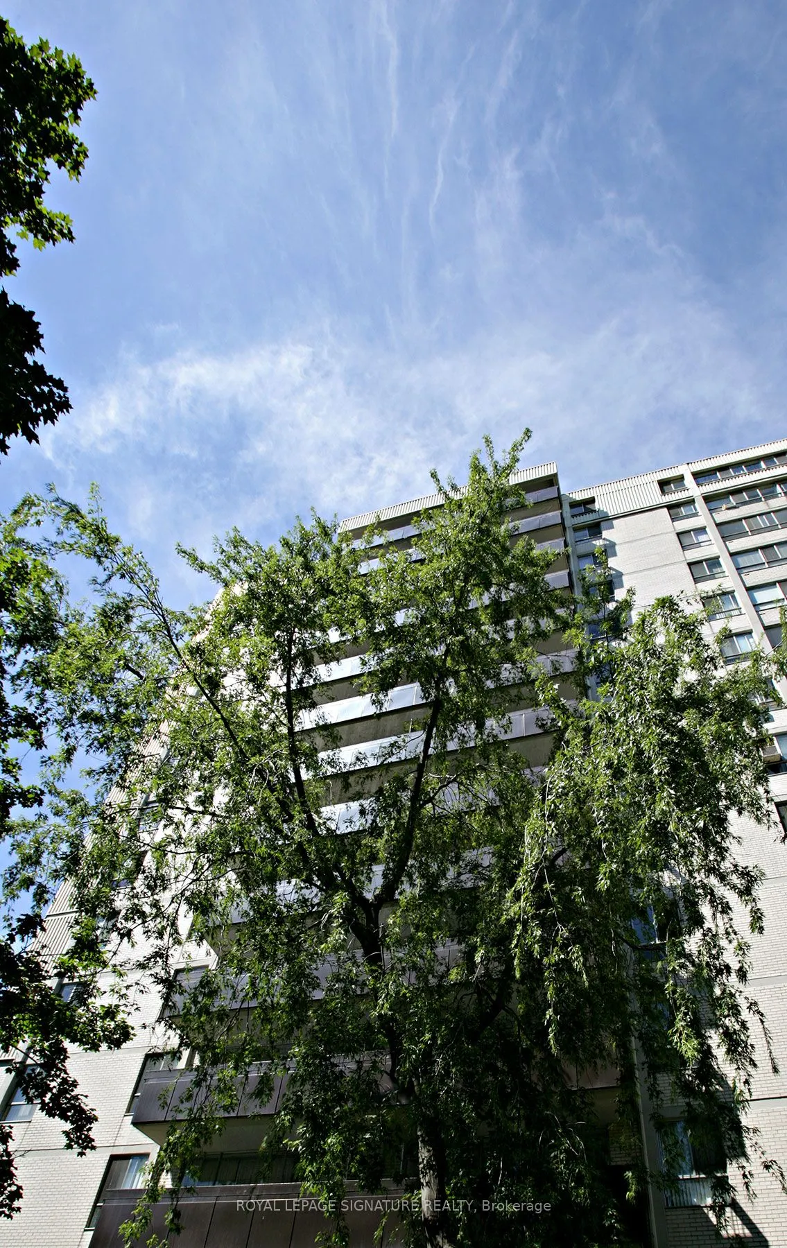 6200 Bathurst Street, #312