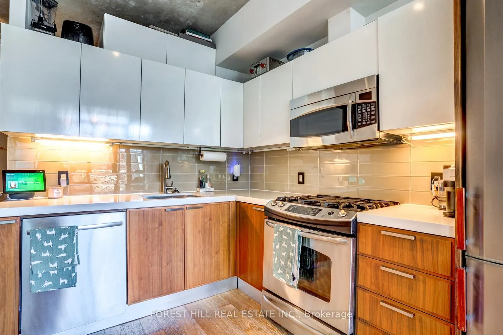 25 Stafford Street, #608
