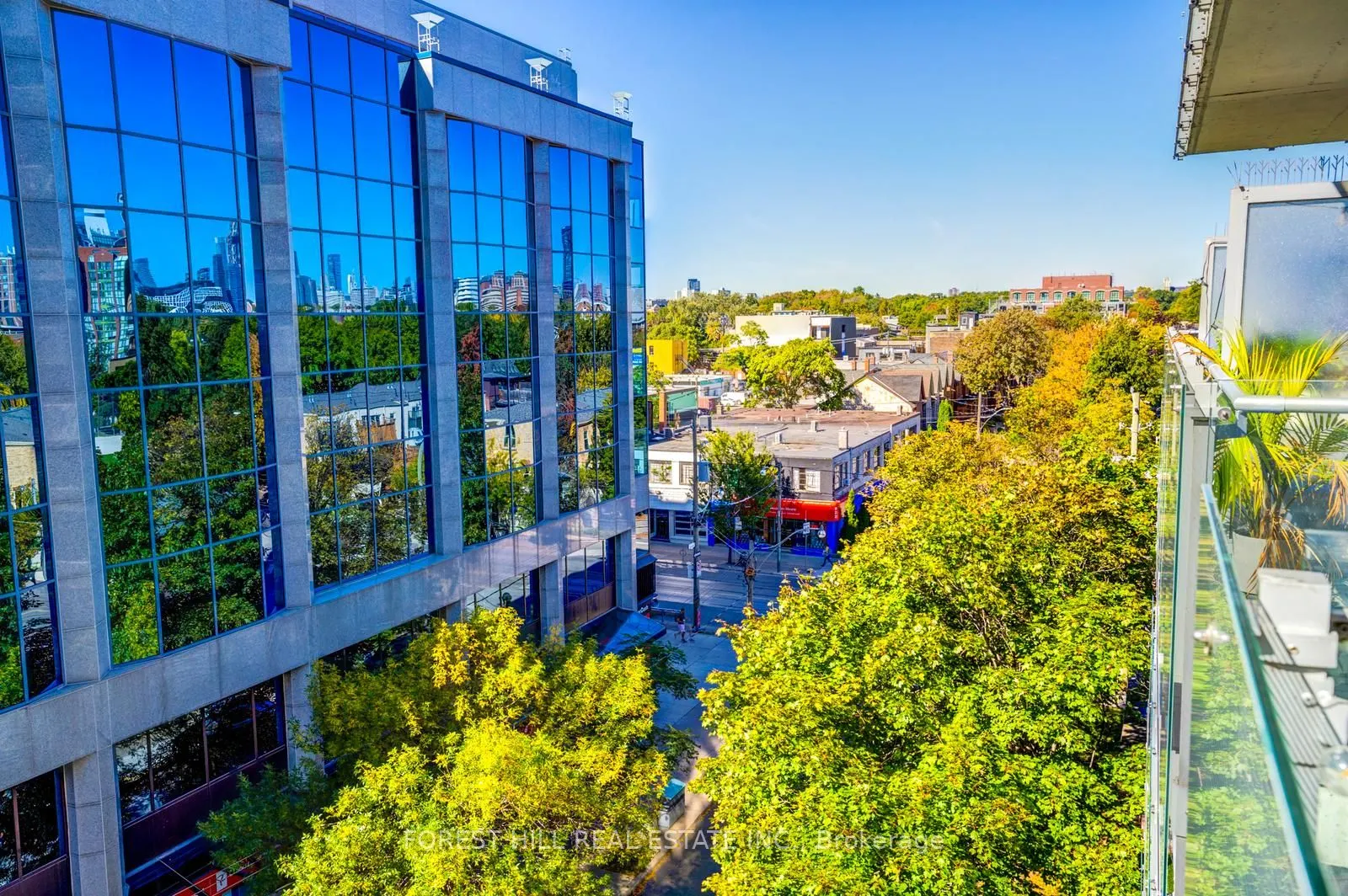 25 Stafford Street, #608