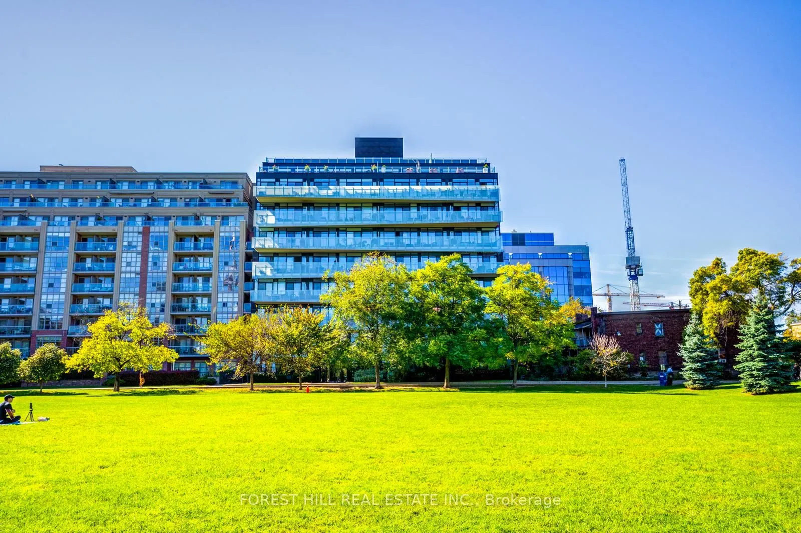 25 Stafford Street, #608
