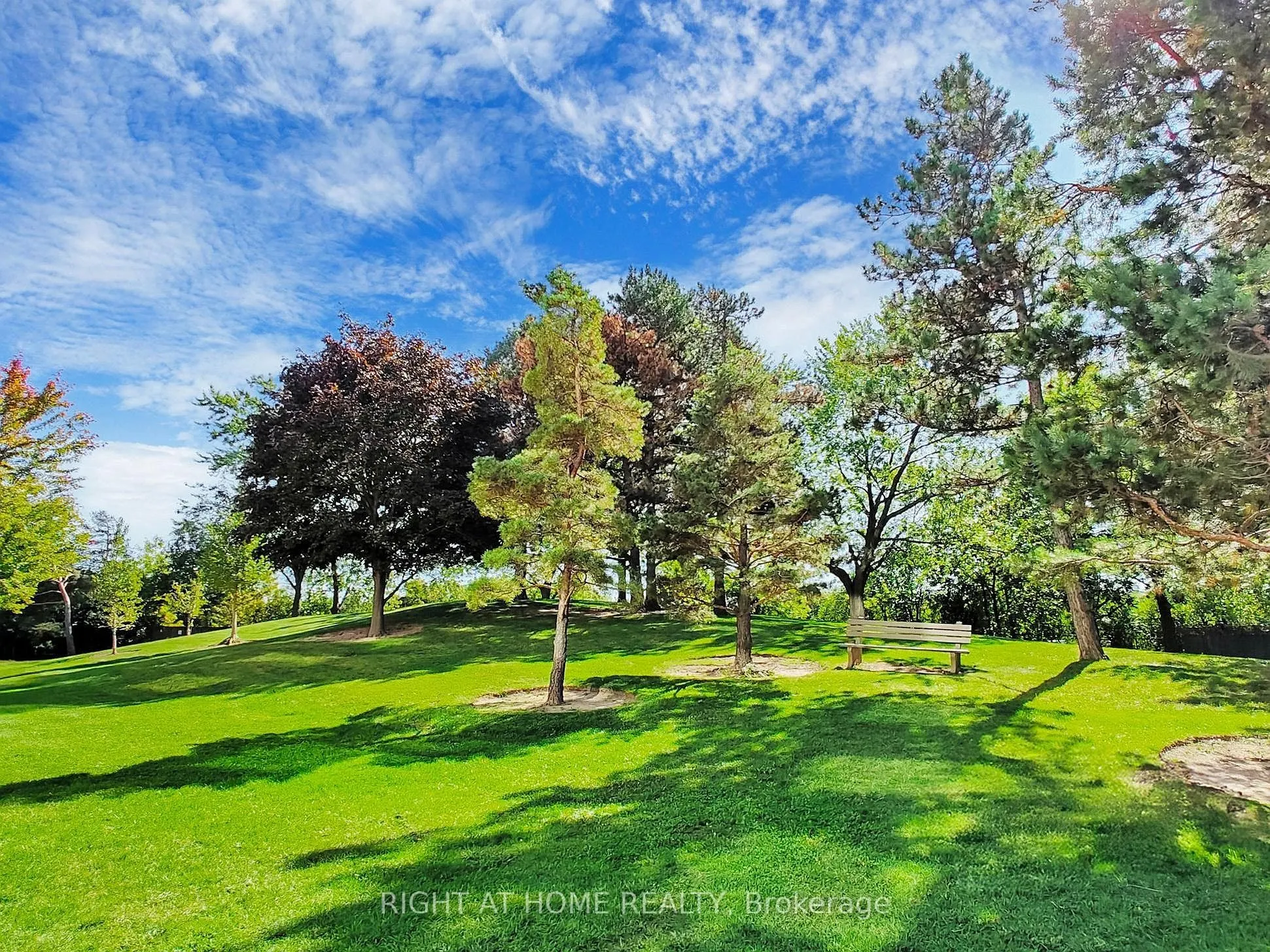 133 Torresdale Avenue, #2503