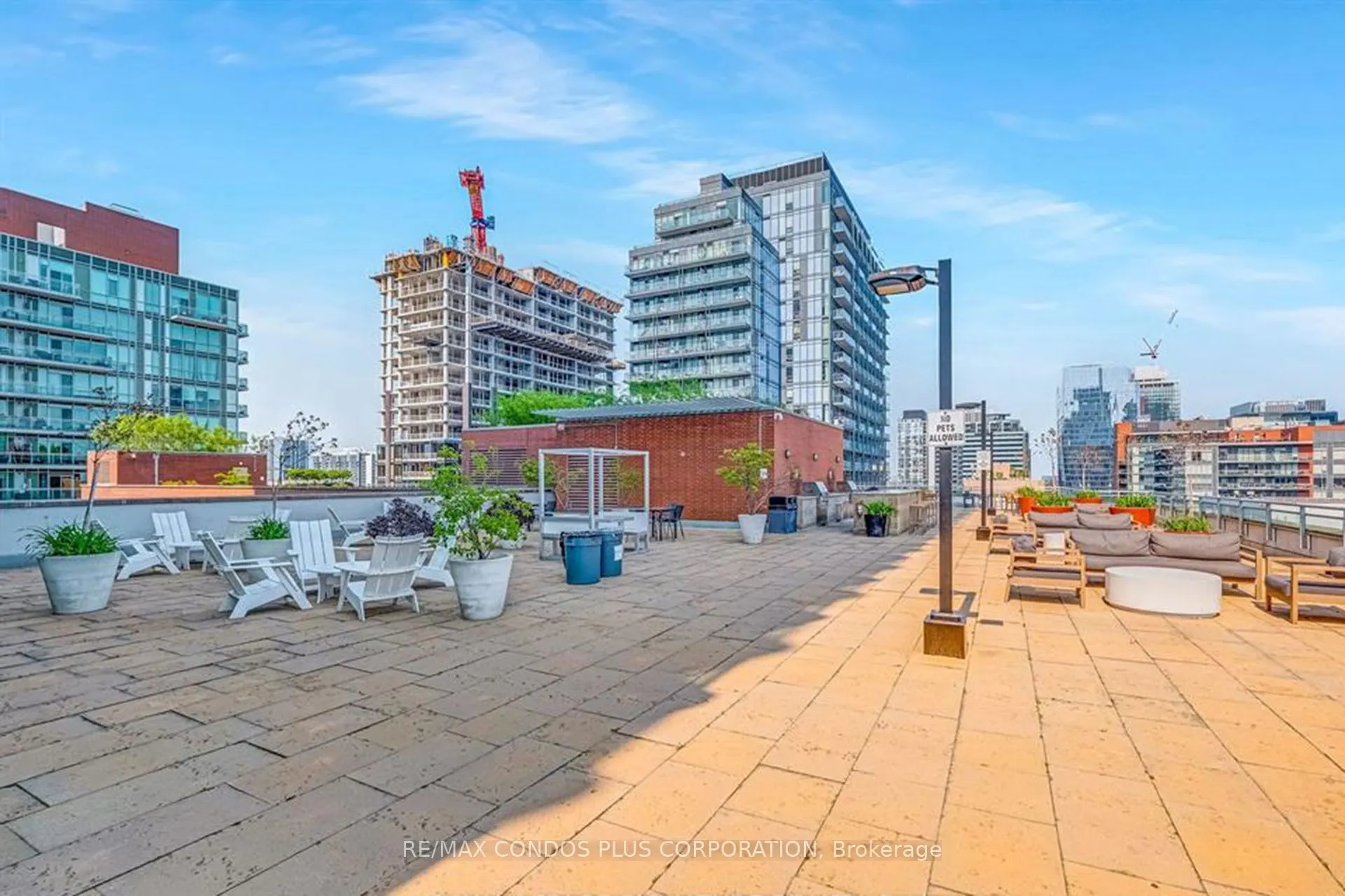 116 George Street, #N804