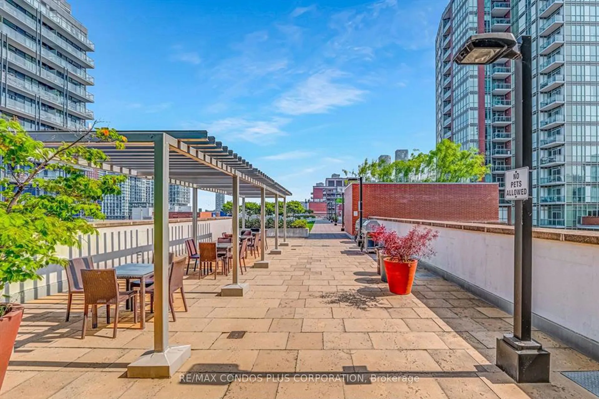 116 George Street, #N804