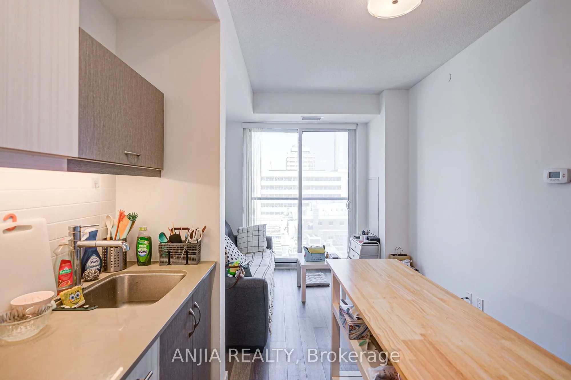 181 Huron Street, #1106