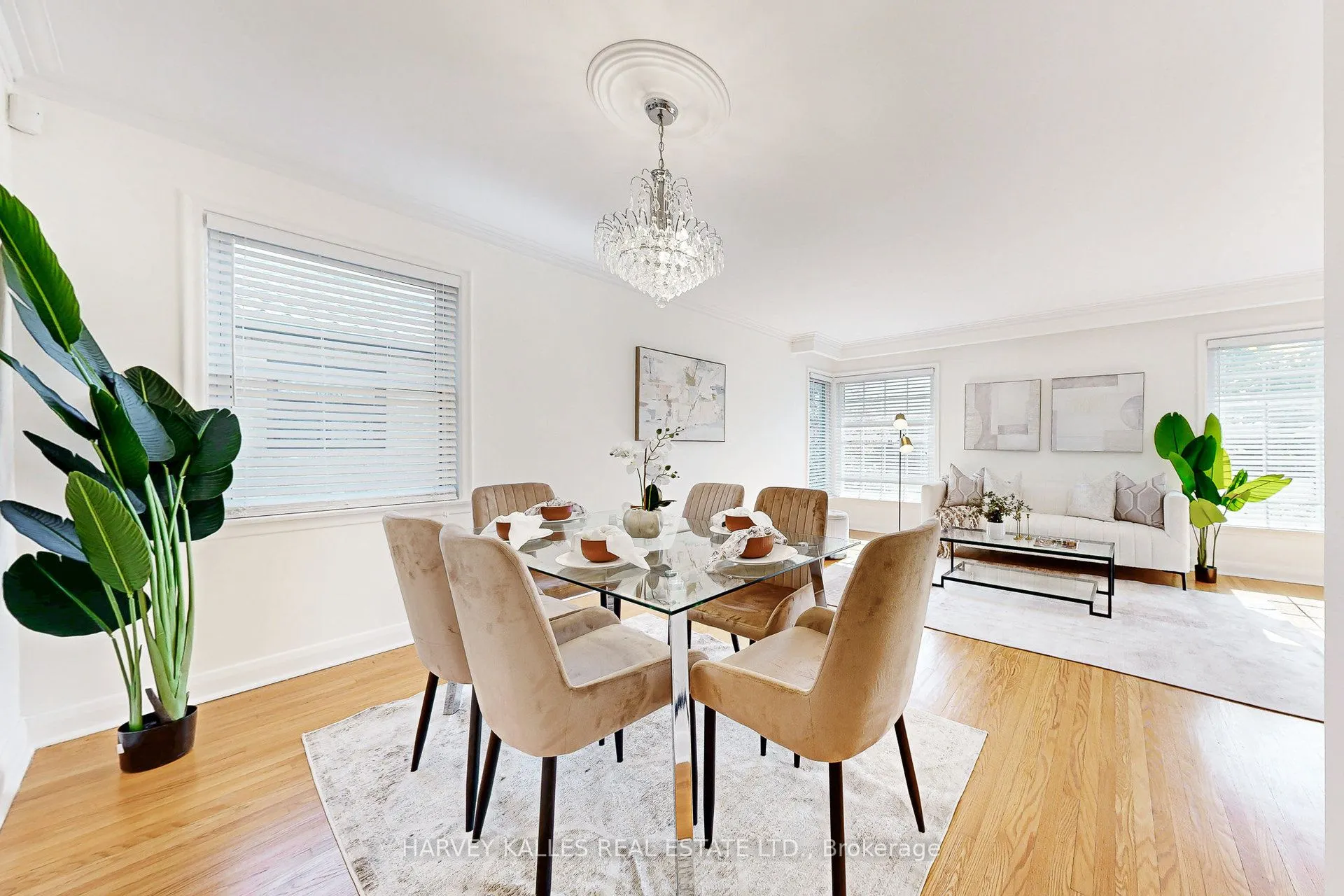 82 Acton Avenue