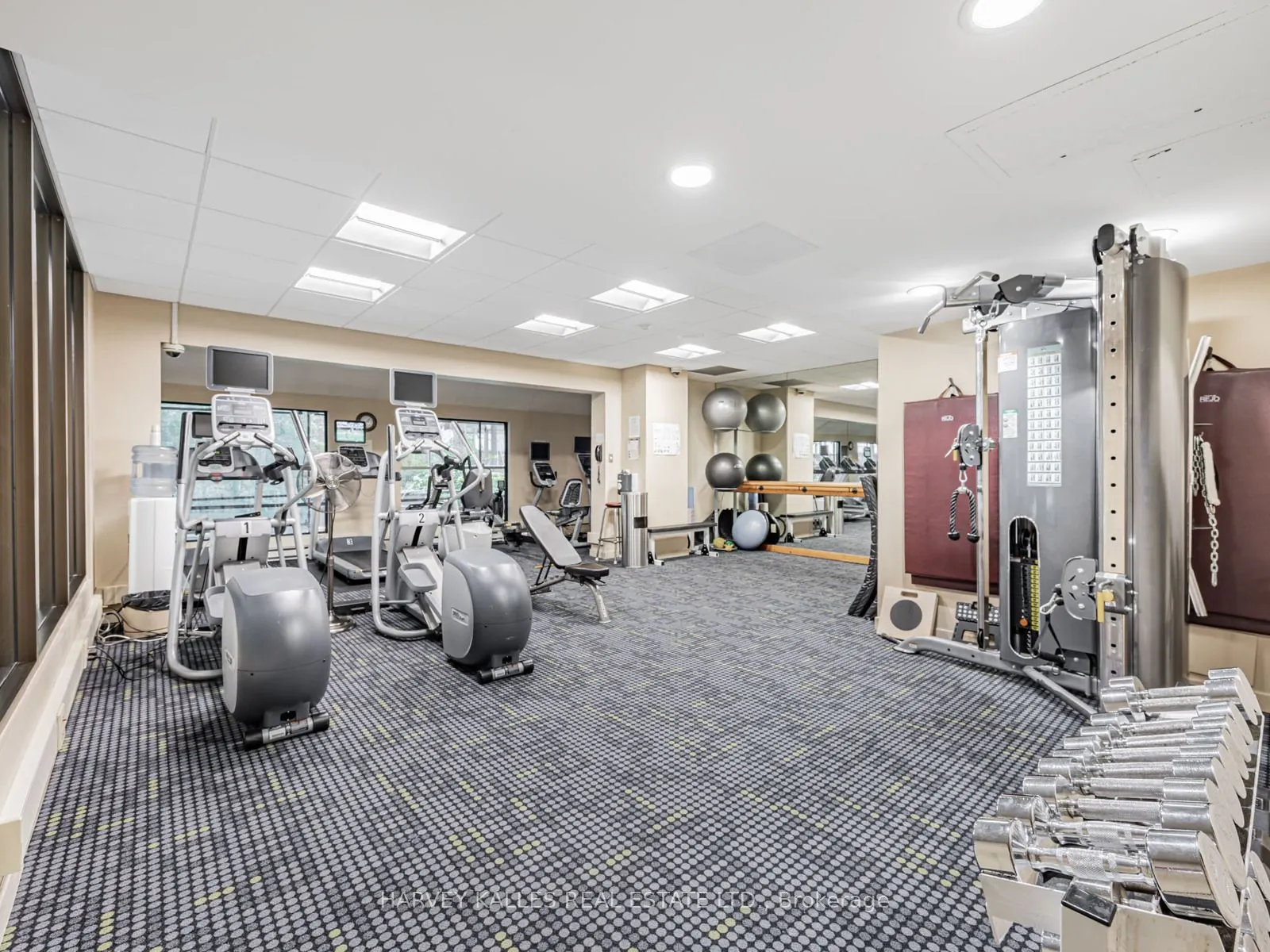 1166 Bay Street, #1703